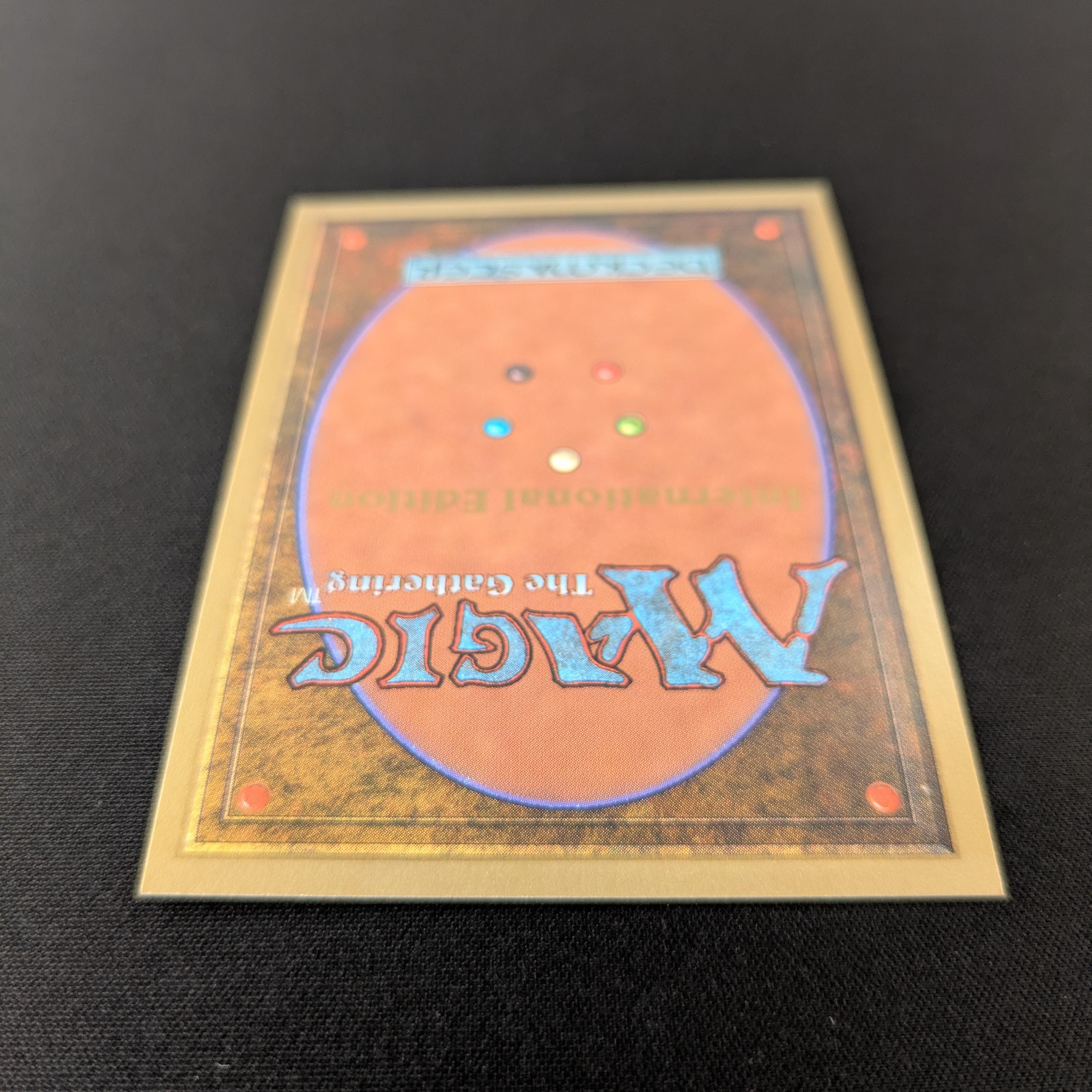 MTG Singles - Scrubland - International Edition -