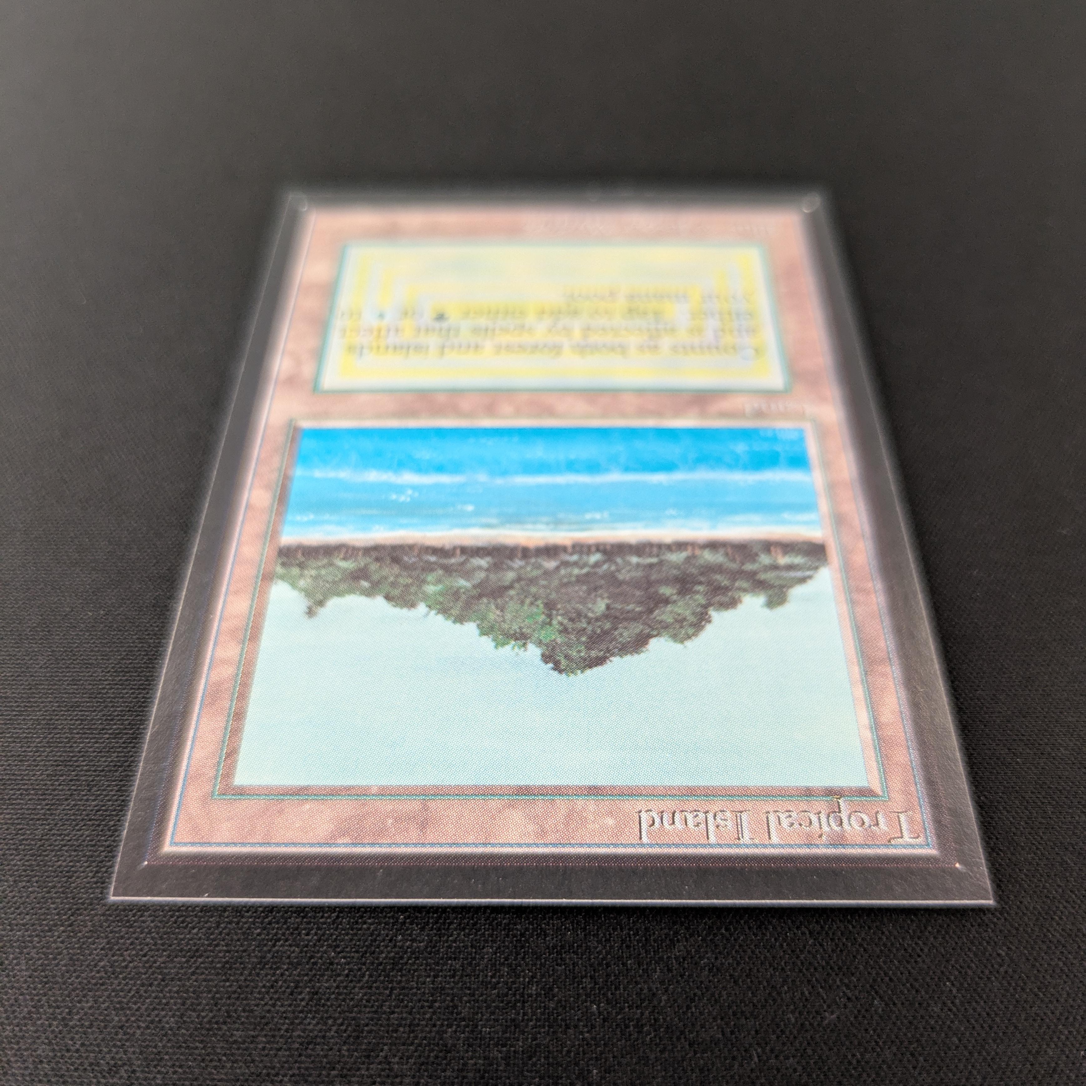 MTG Singles - Tropical Island - International Edition -