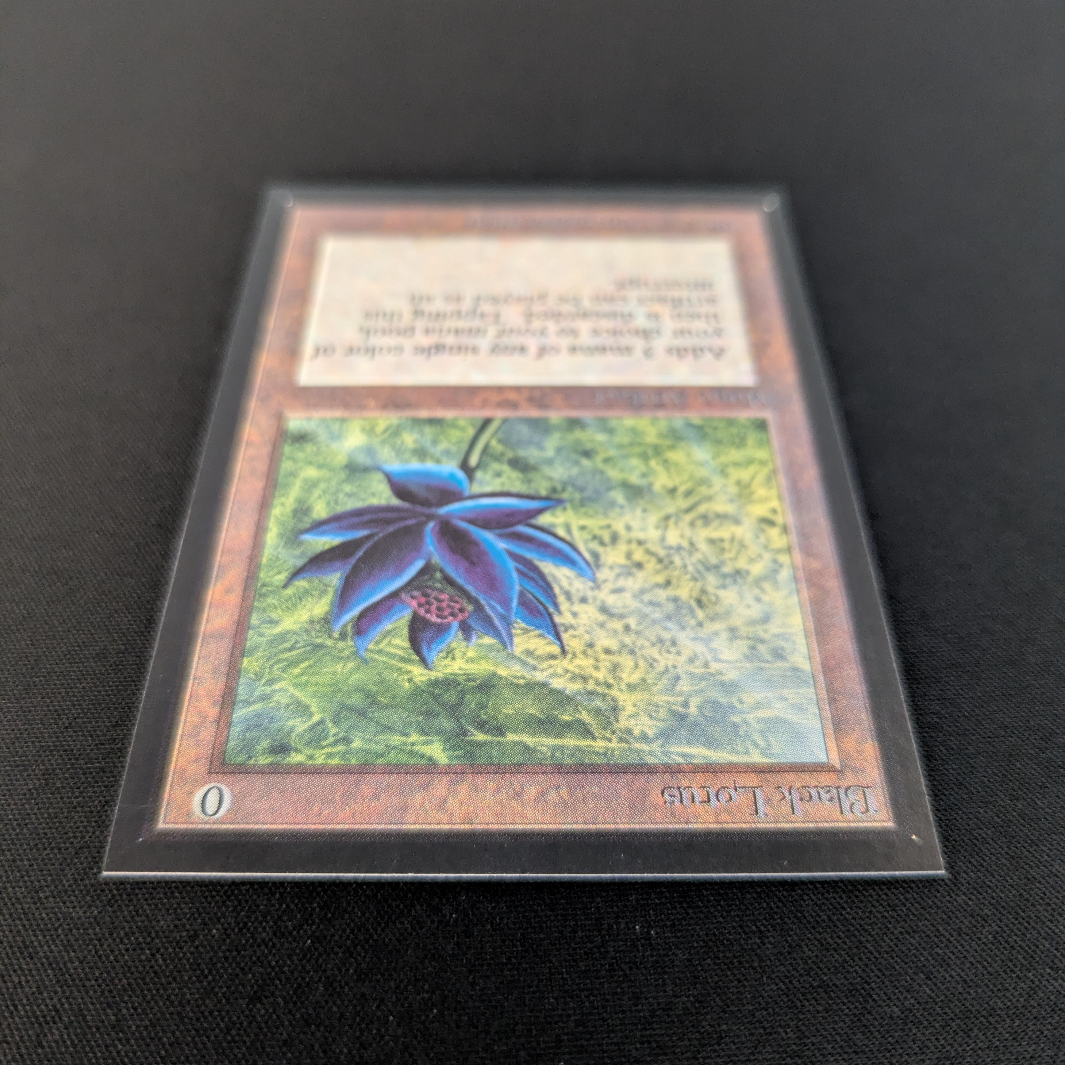 MTG Singles - Black Lotus - International Edition -