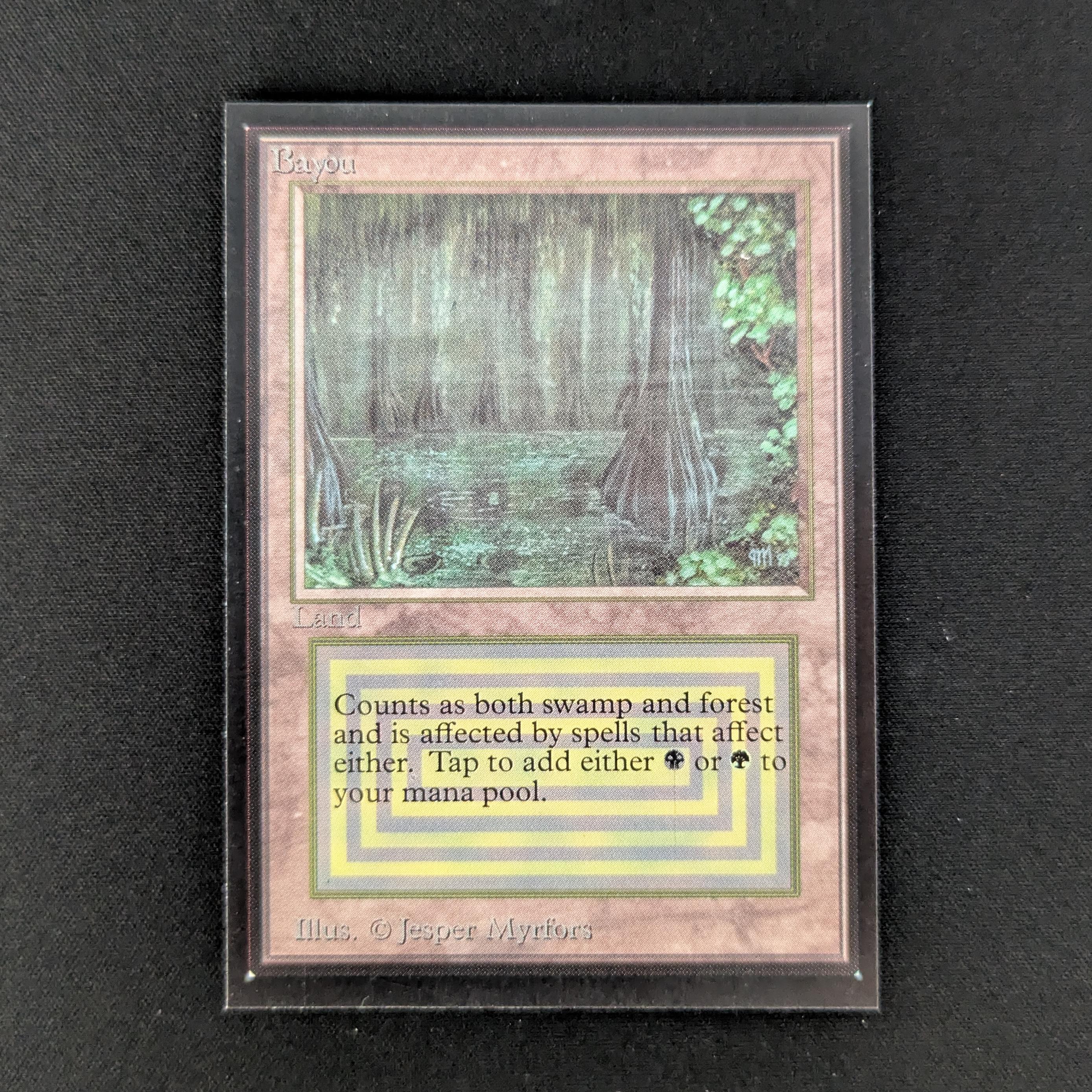 MTG Singles - Bayou - International Edition - NM - 27506