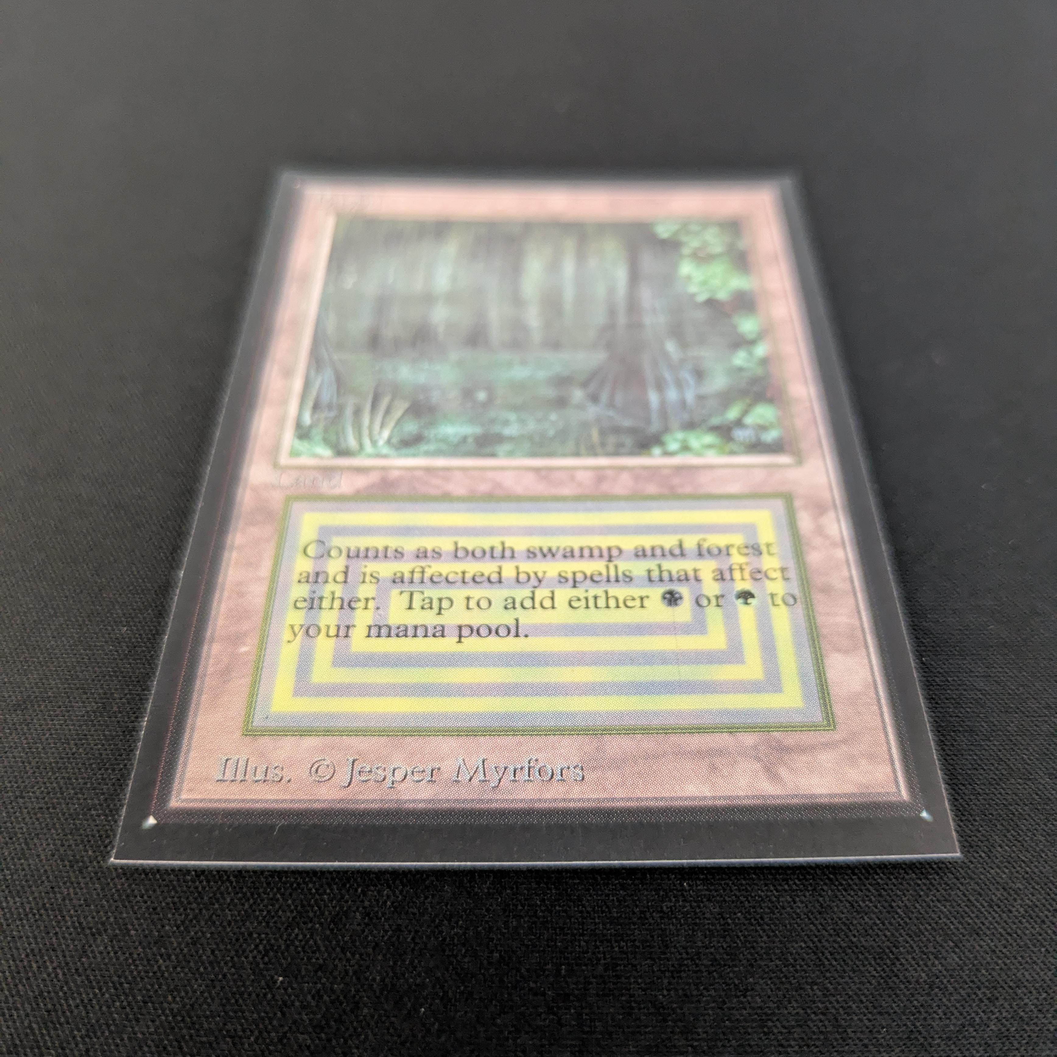 MTG Singles - Bayou - International Edition -