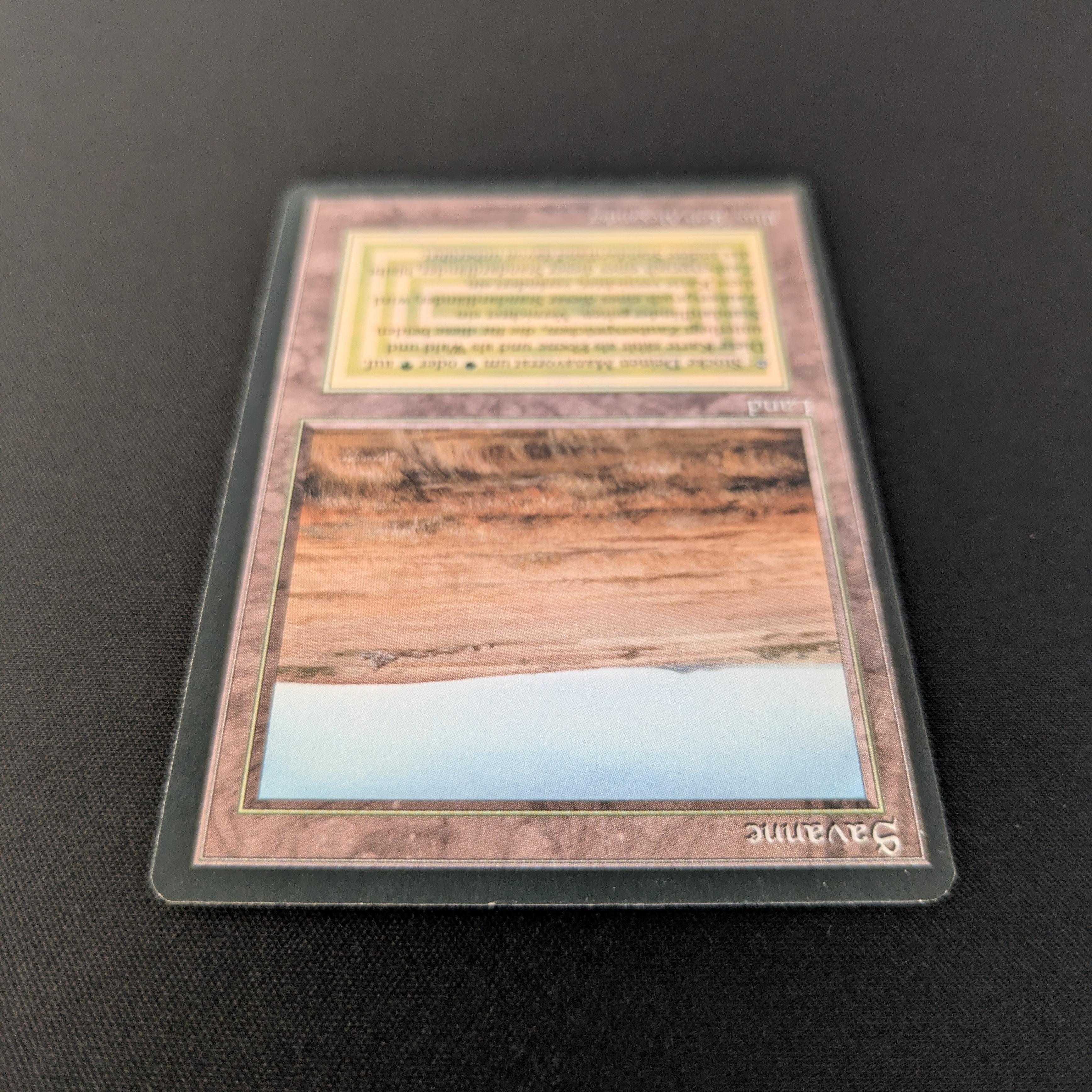 MTG Singles - Savannah - Foreign Black Bordered -