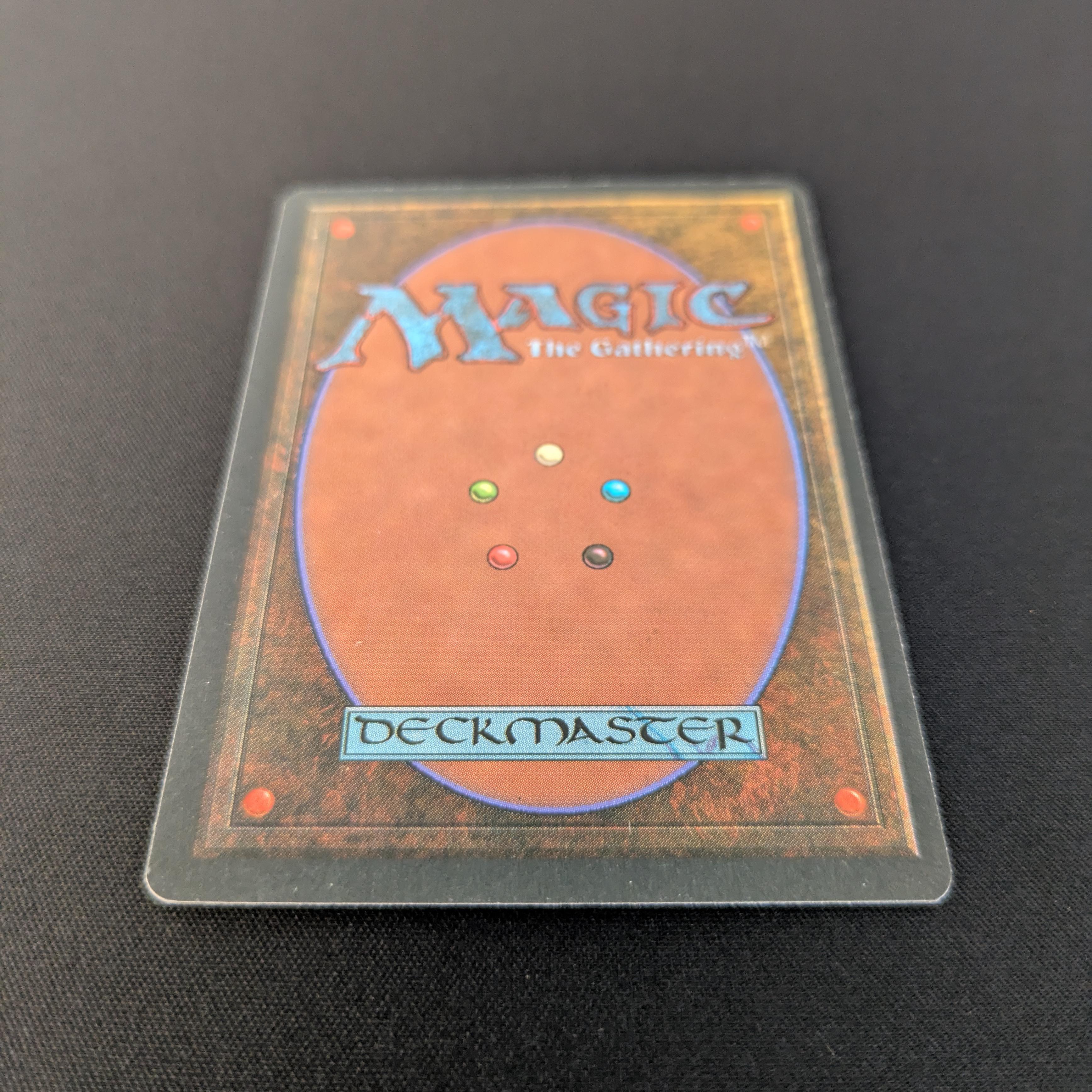 MTG Singles - Savannah - Foreign Black Bordered -