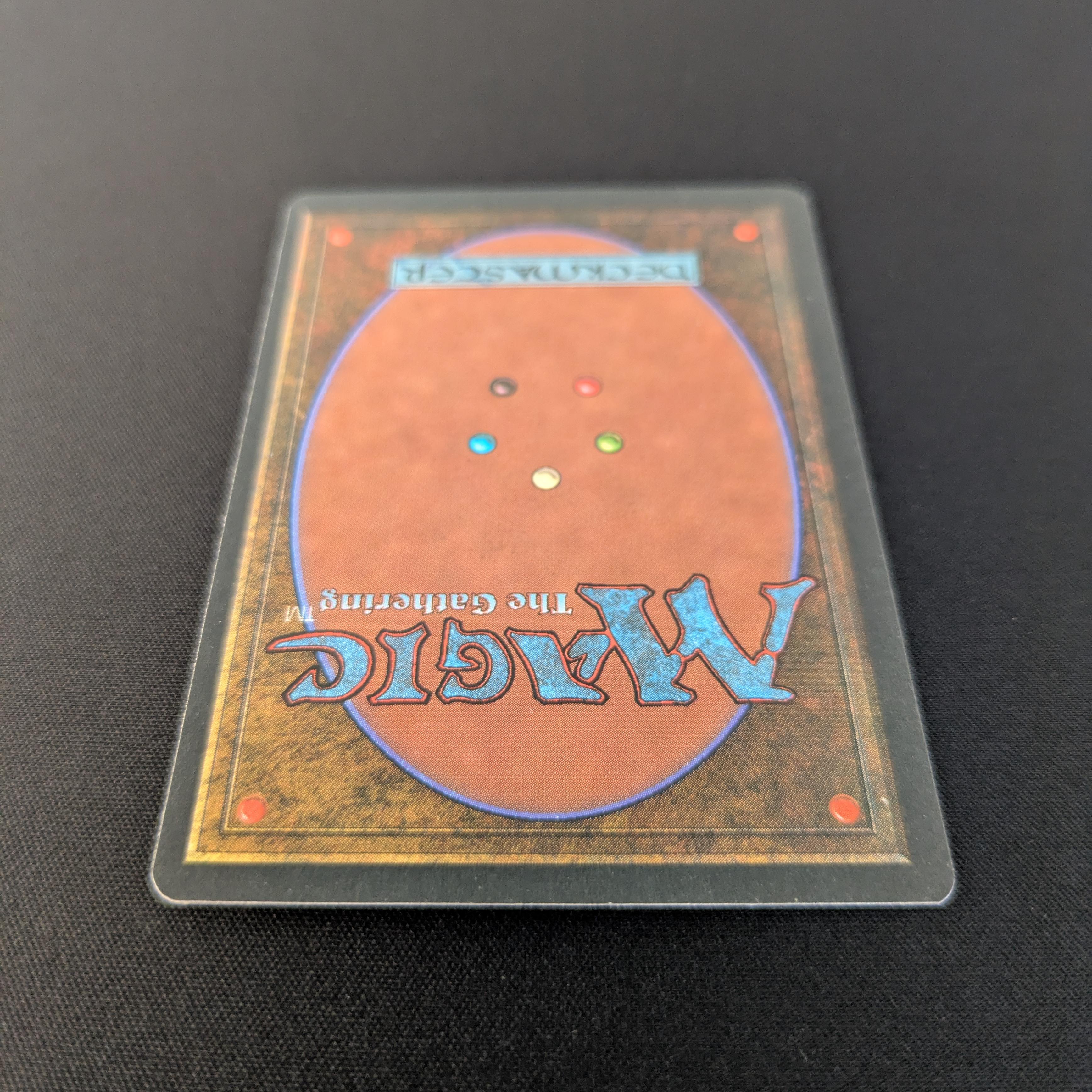 MTG Singles - Savannah - Foreign Black Bordered -