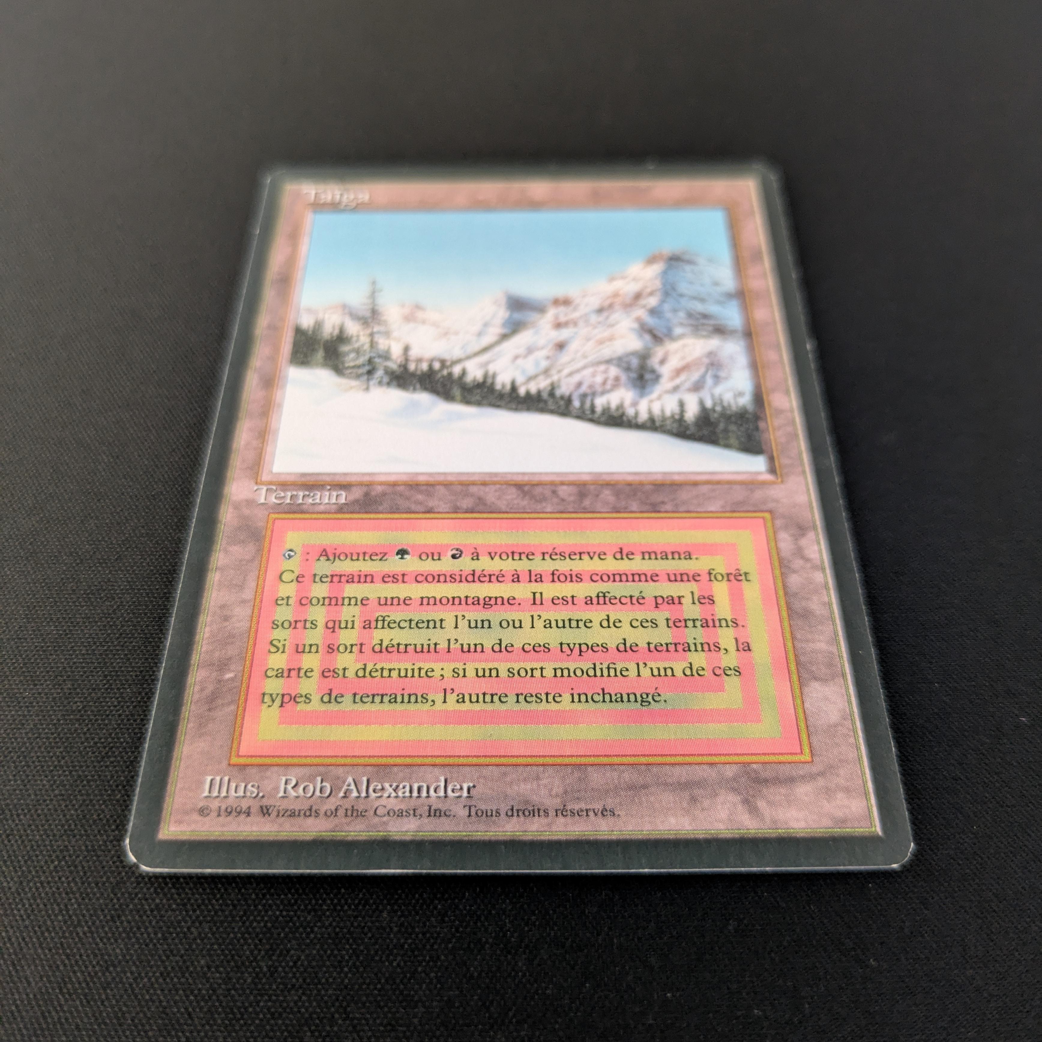 MTG Singles - Taiga - Foreign Black Bordered -