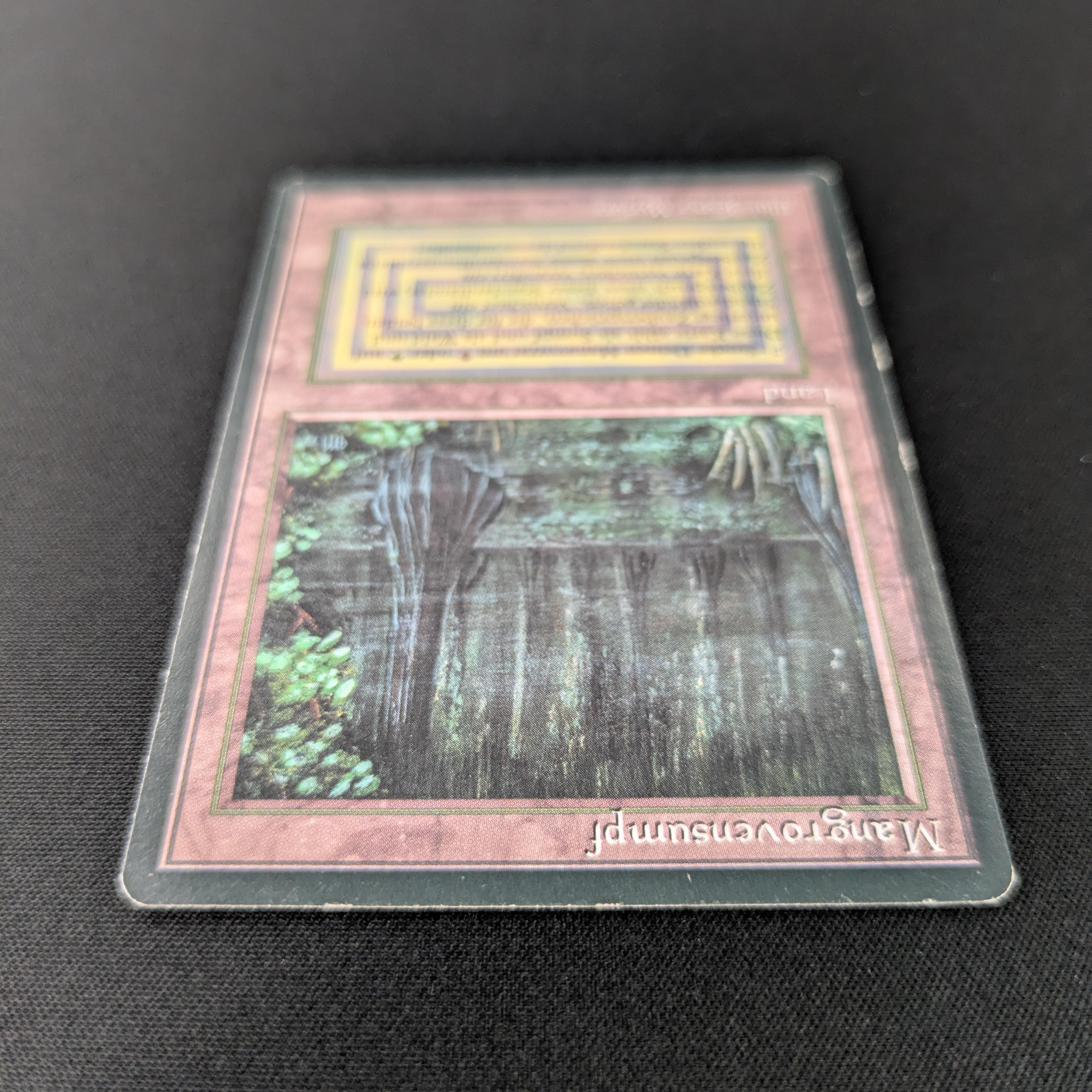 MTG Singles - Bayou - Foreign Black Bordered -