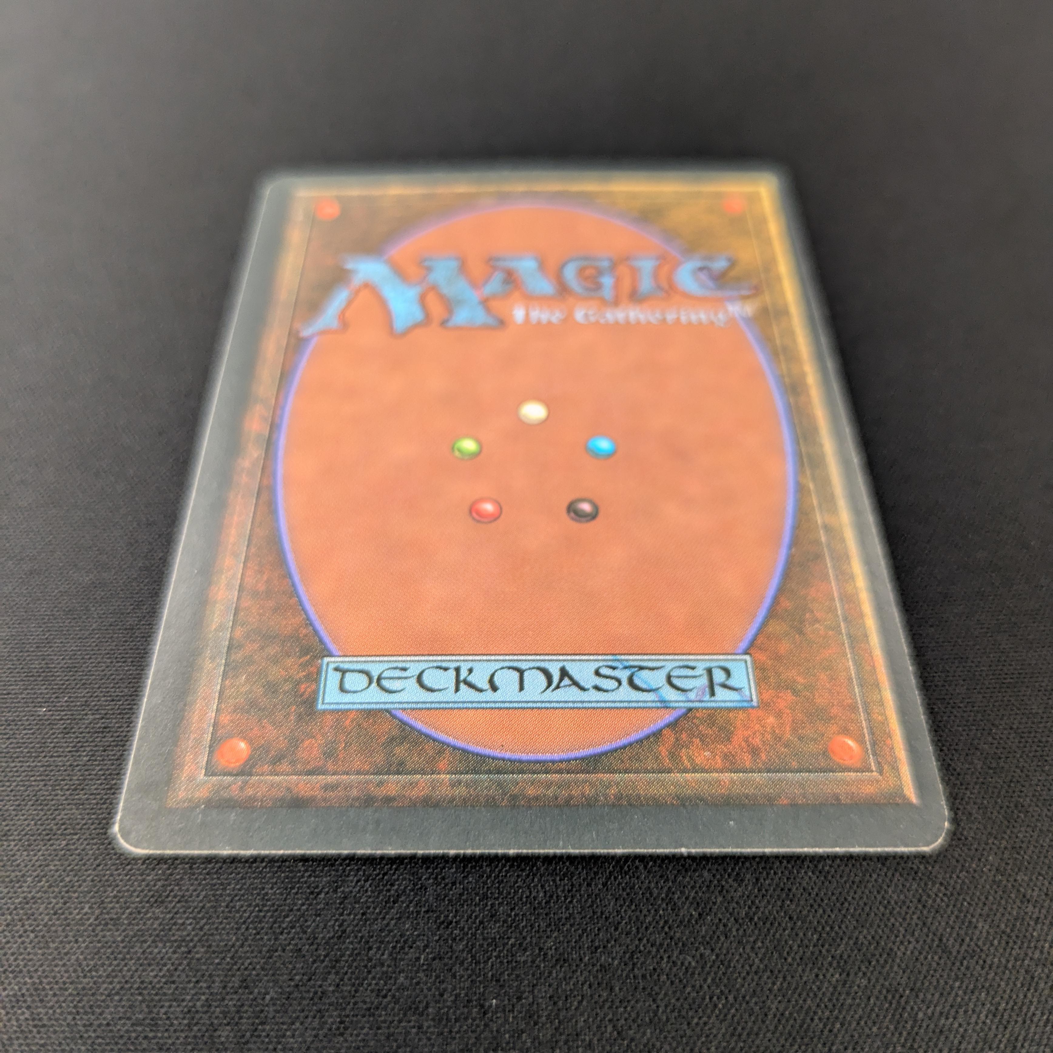MTG Singles - Savannah - Foreign Black Bordered -