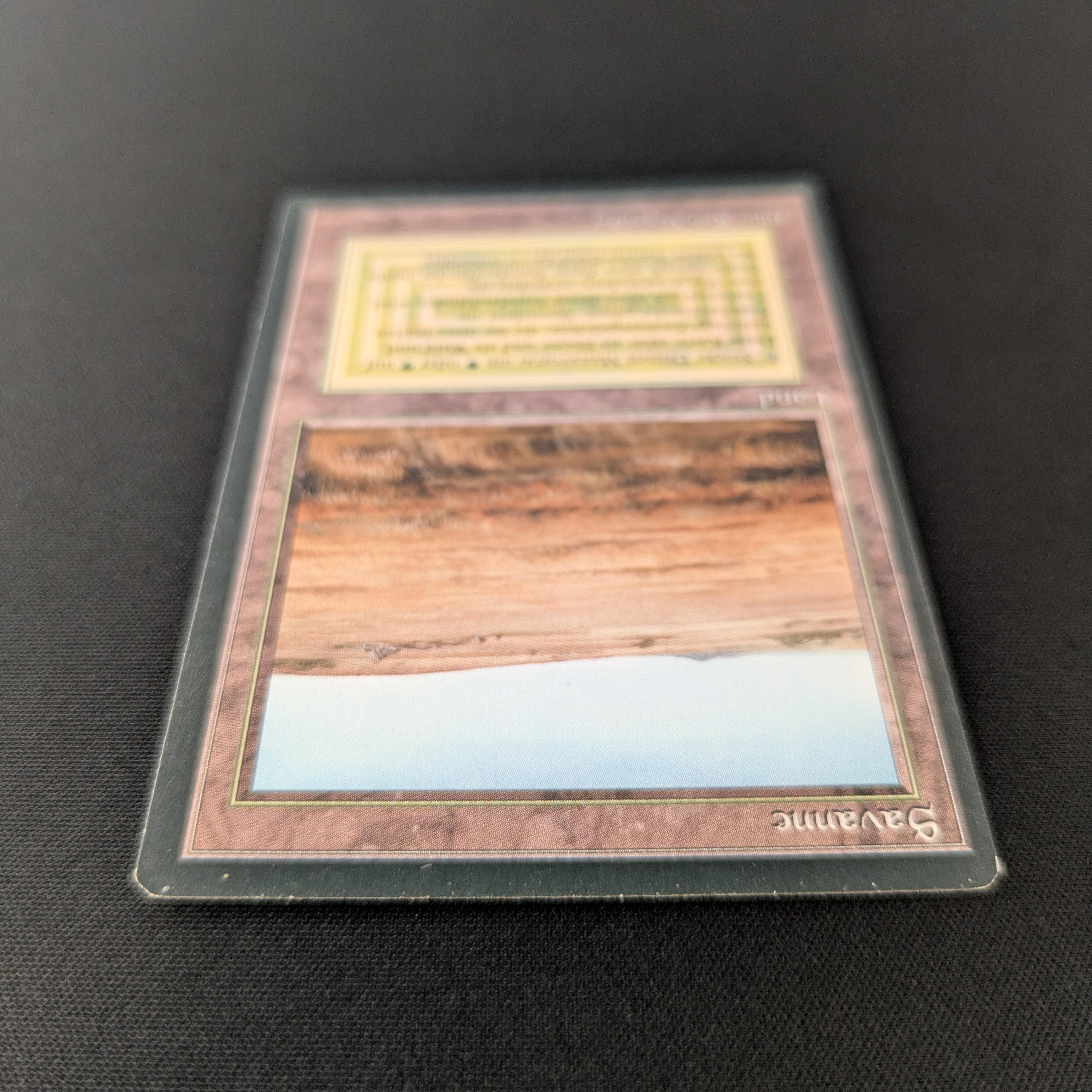 MTG Singles - Savannah - Foreign Black Bordered -