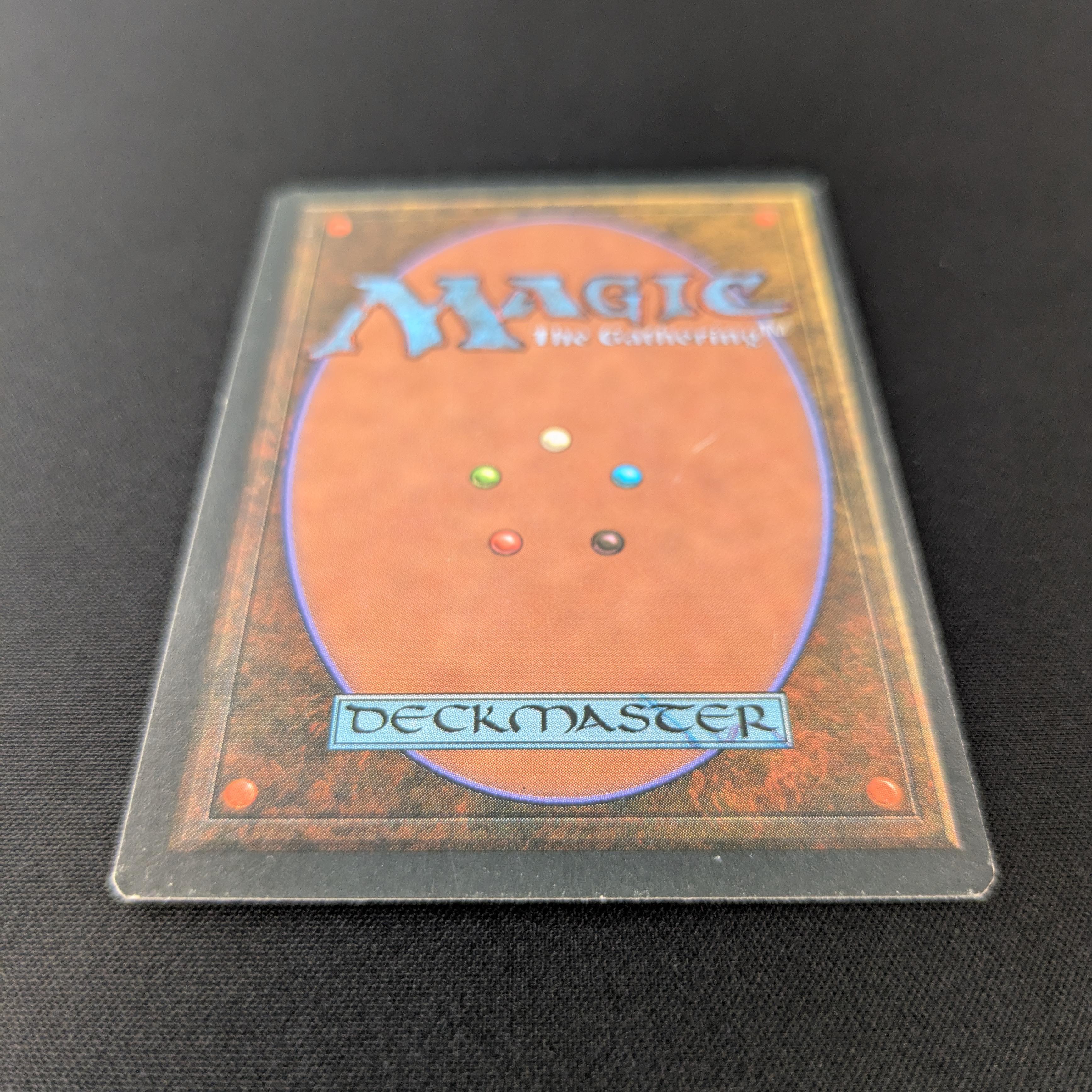 MTG Singles - Savannah - Foreign Black Bordered -