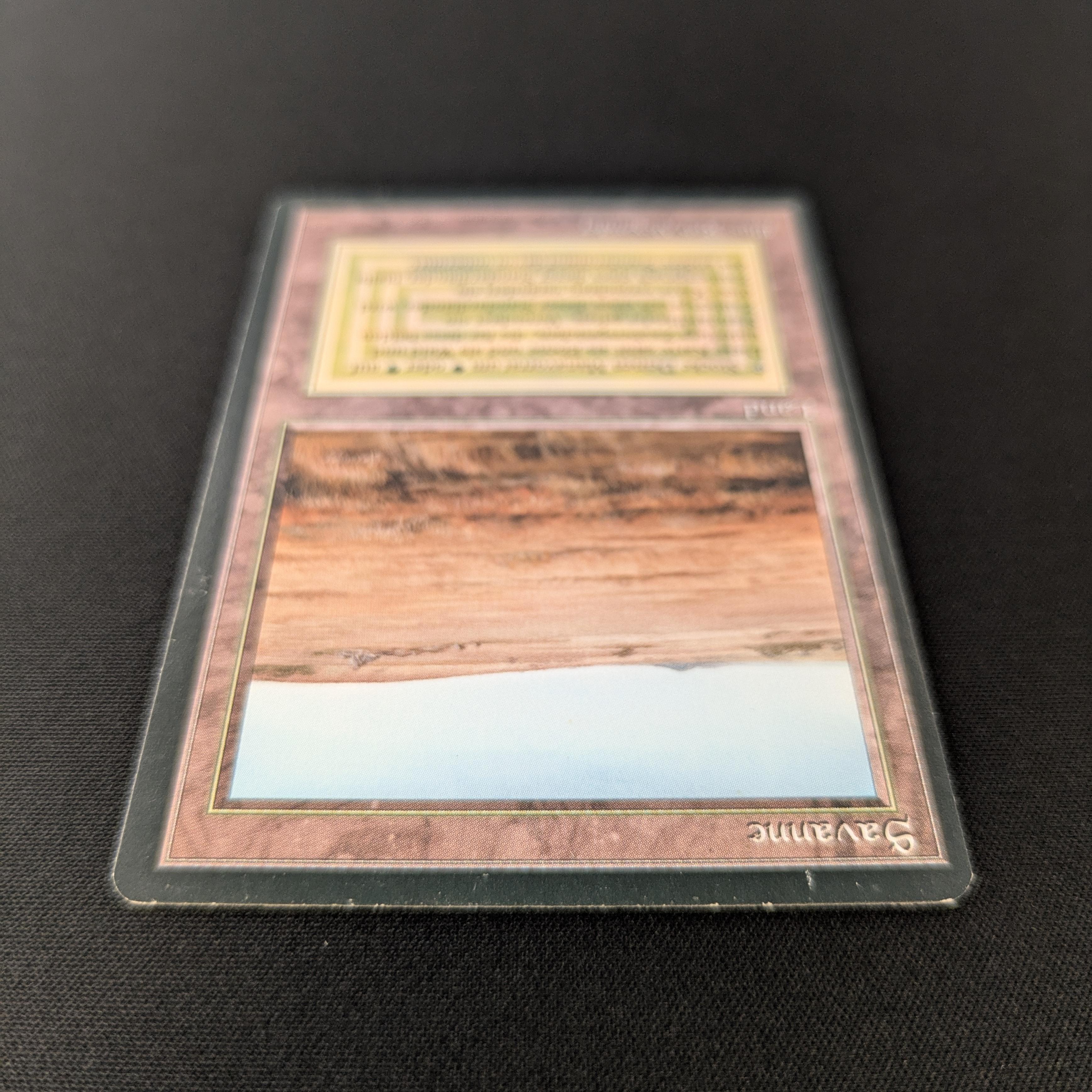 MTG Singles - Savannah - Foreign Black Bordered -