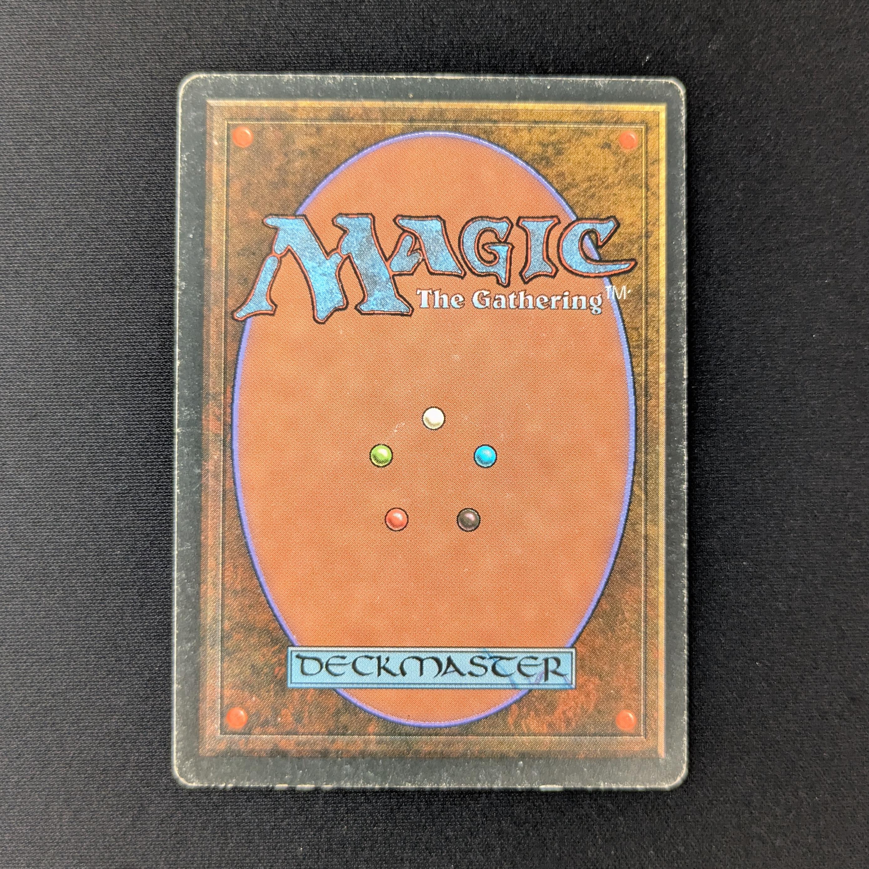 MTG Singles - Savannah - Foreign Black Bordered -