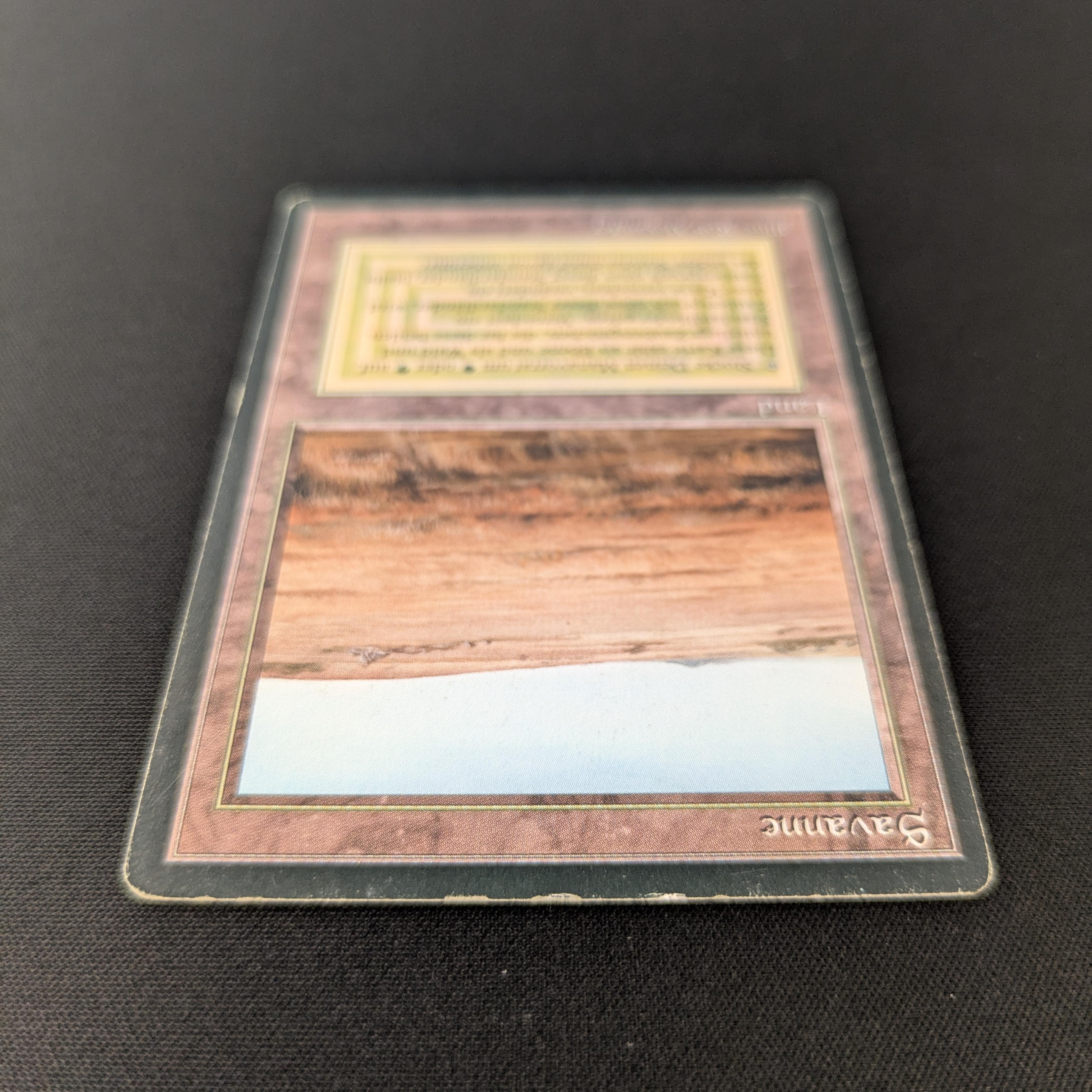 MTG Singles - Savannah - Foreign Black Bordered -