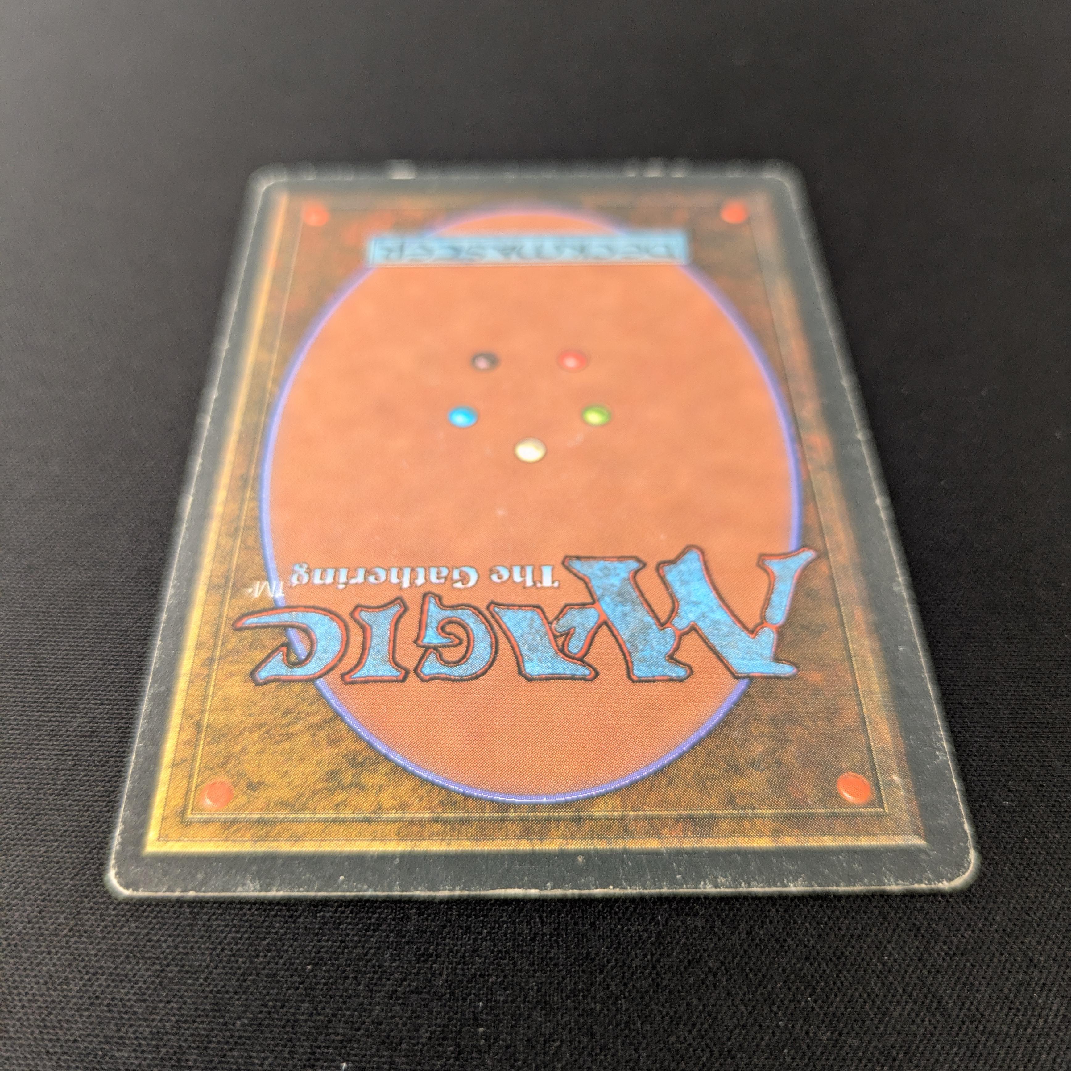 MTG Singles - Savannah - Foreign Black Bordered -
