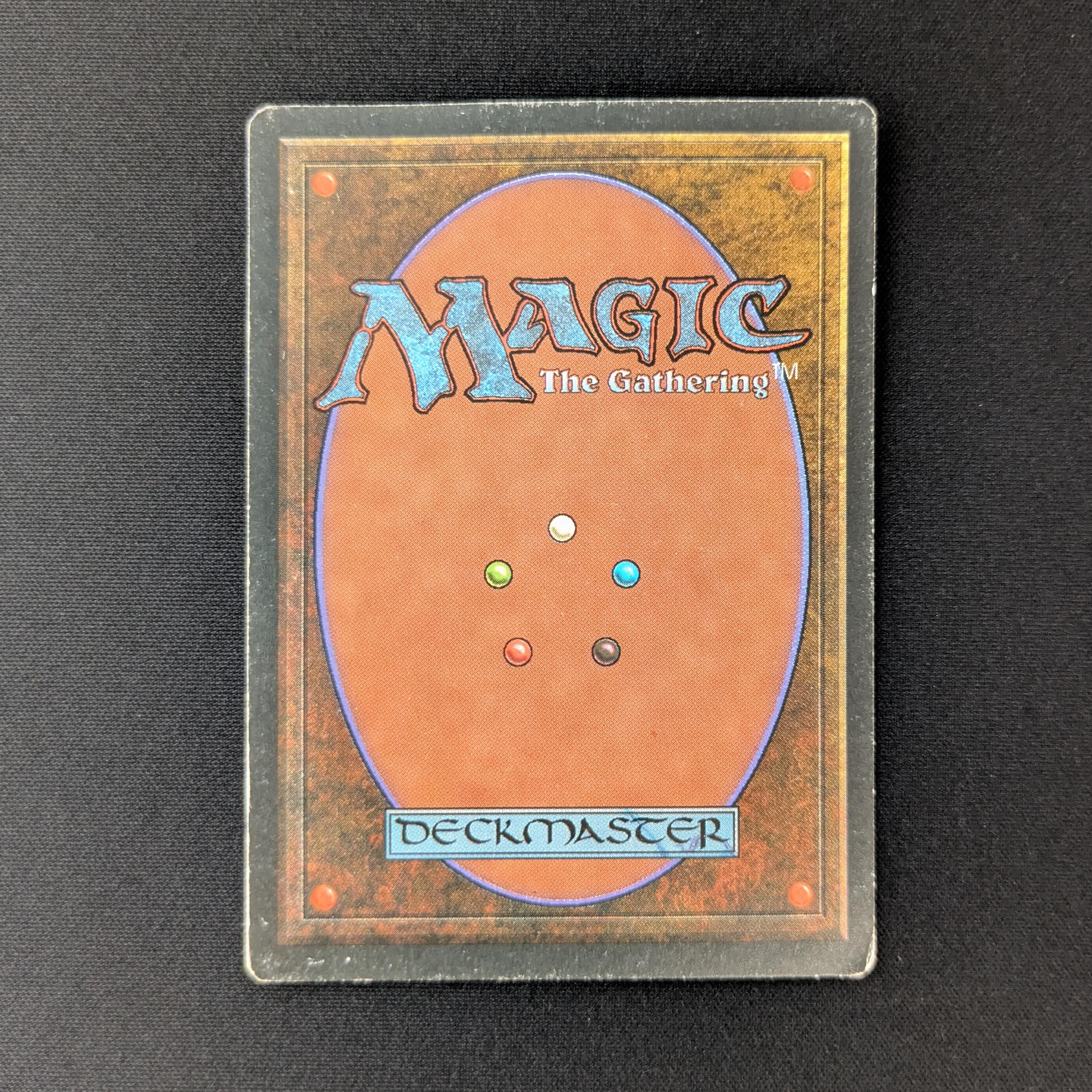 MTG Singles - Savannah - Foreign Black Bordered -