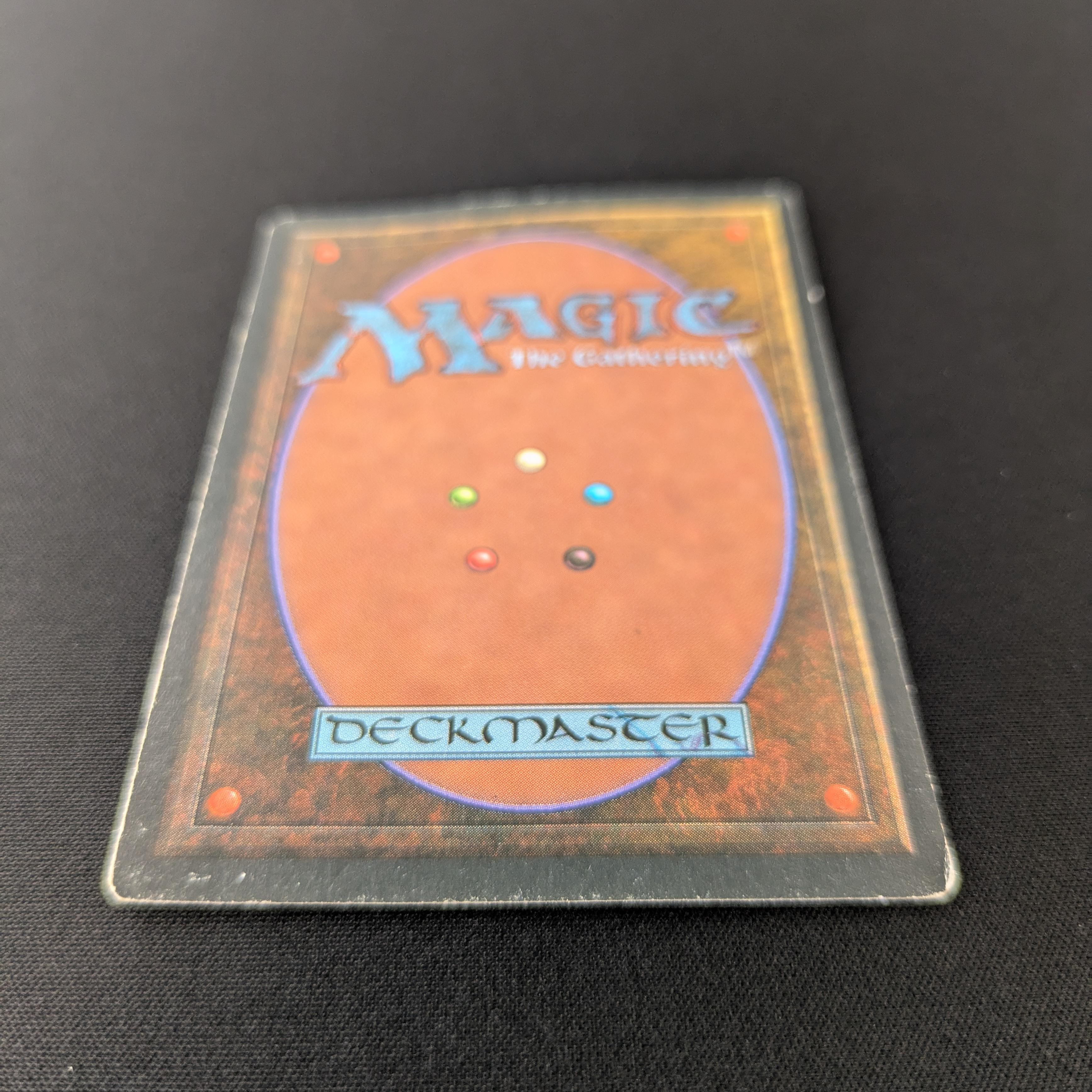 MTG Singles - Savannah - Foreign Black Bordered -