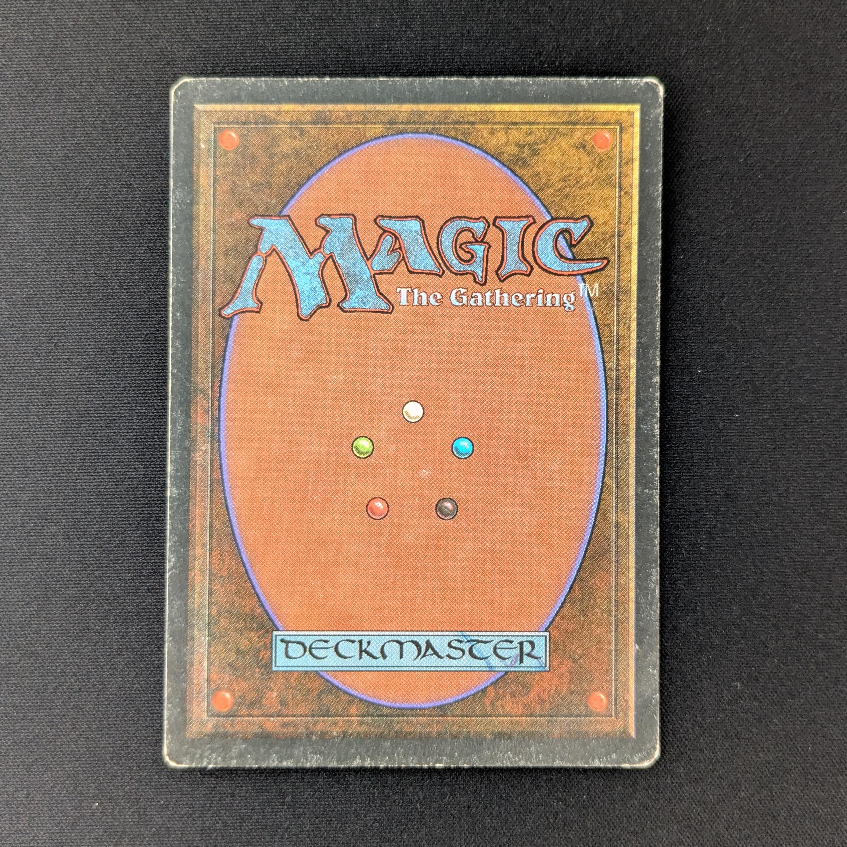 MTG Singles - Savannah - Foreign Black Bordered -