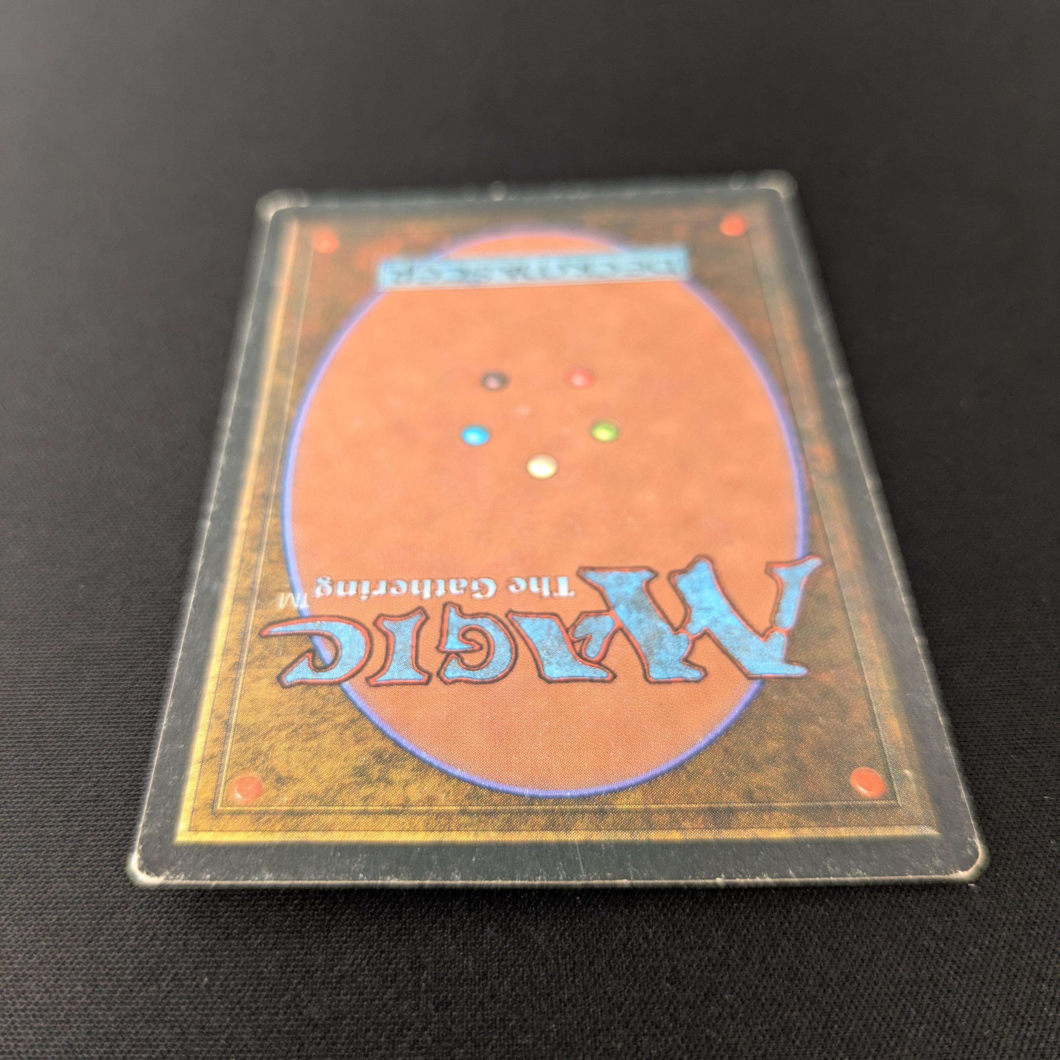 MTG Singles - Savannah - Foreign Black Bordered -