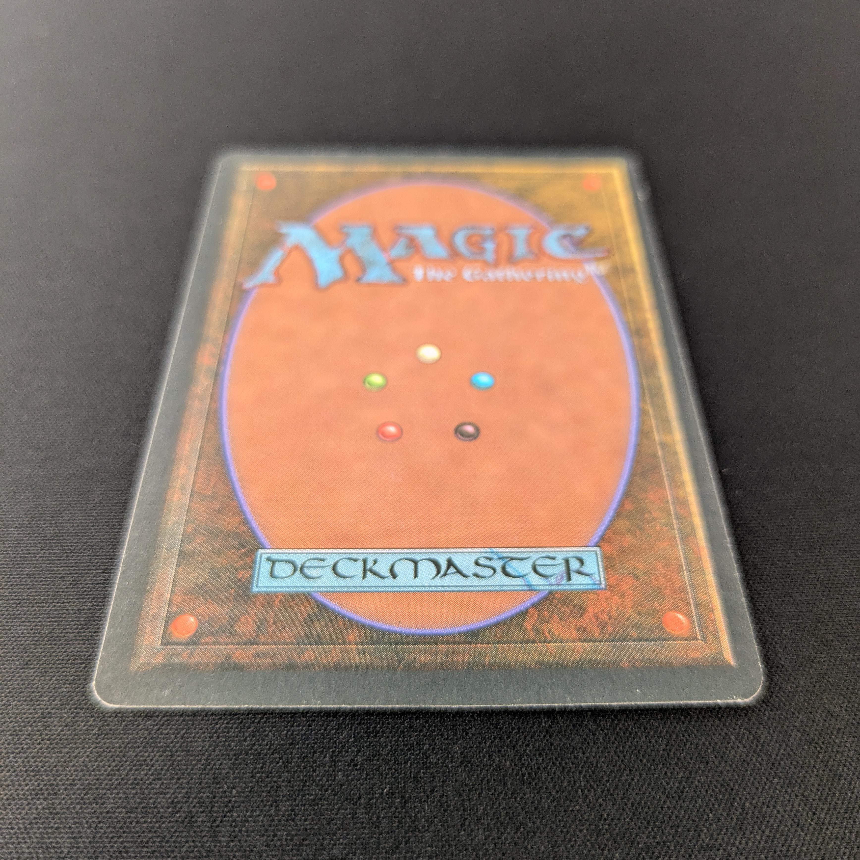 MTG Singles - Taiga - Foreign Black Bordered -