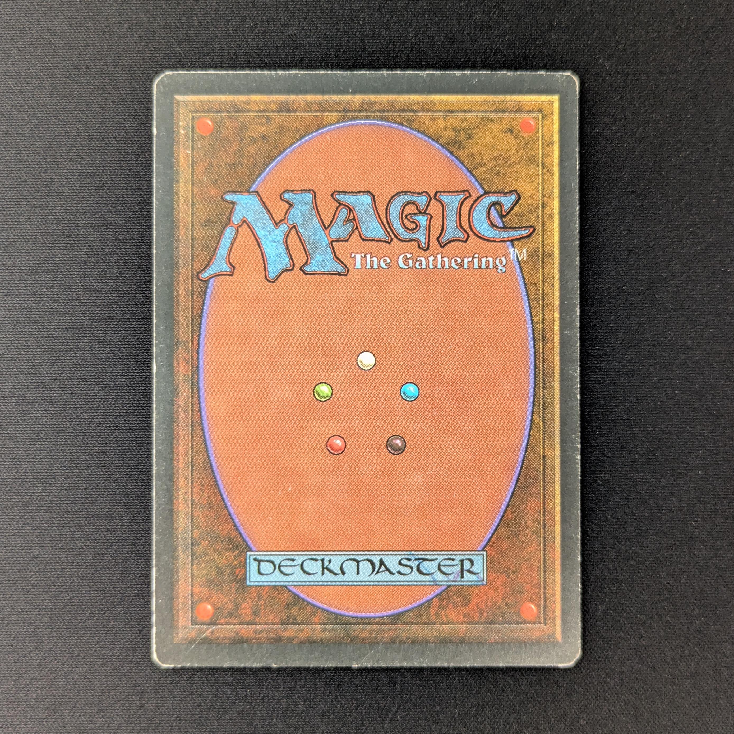 MTG Singles - Tundra - Foreign Black Bordered -