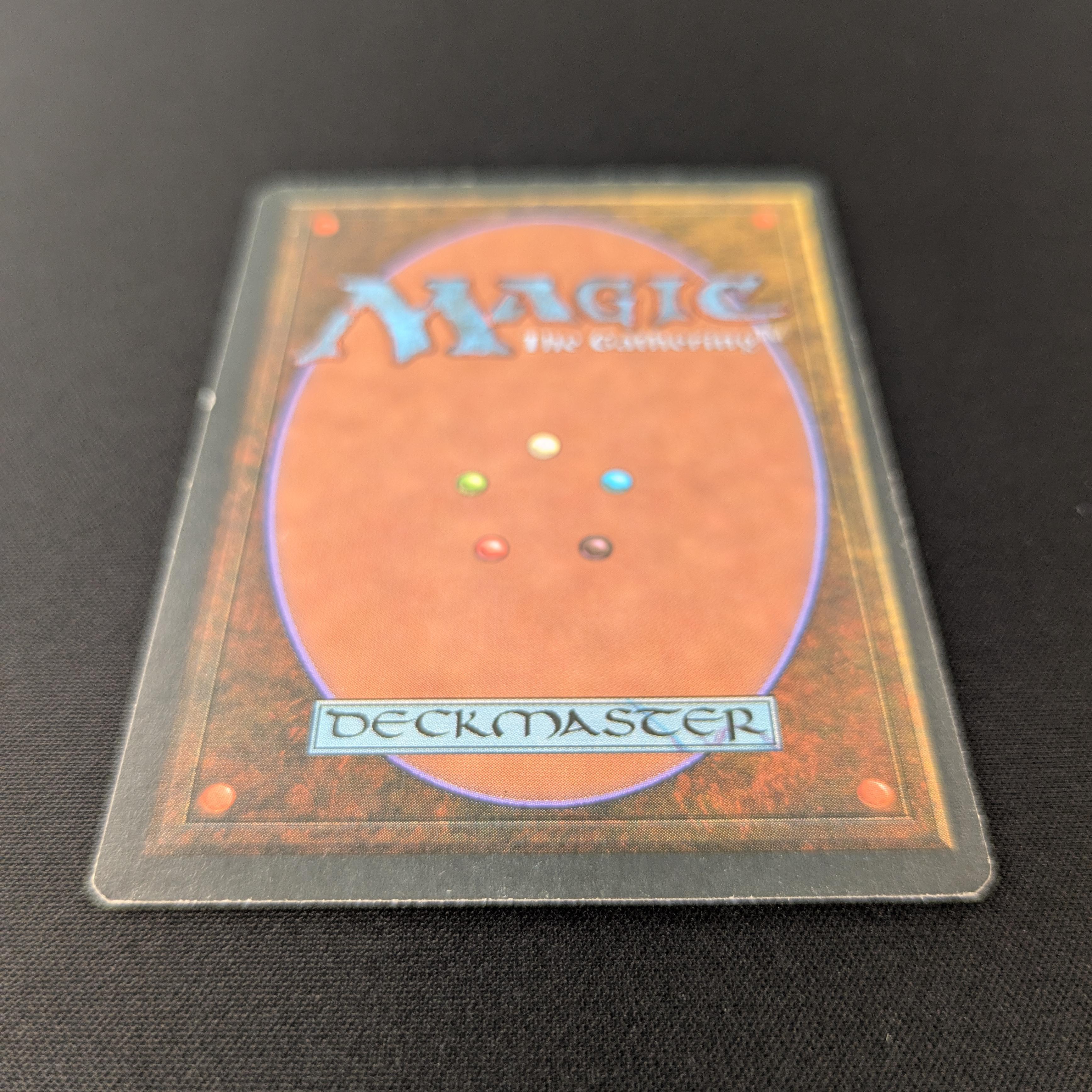 MTG Singles - Taiga - Foreign White Bordered -