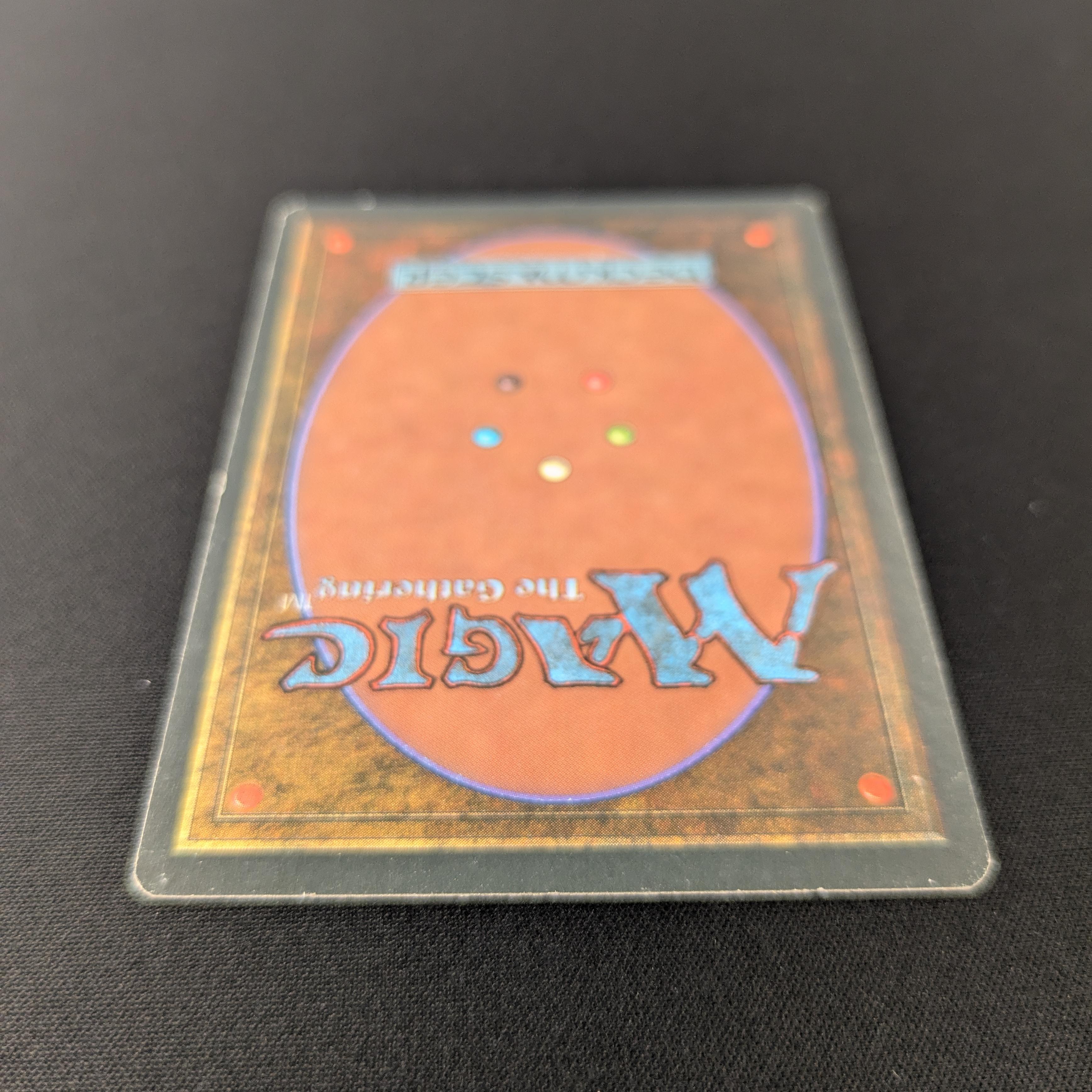 MTG Singles - Tundra - Foreign White Bordered -