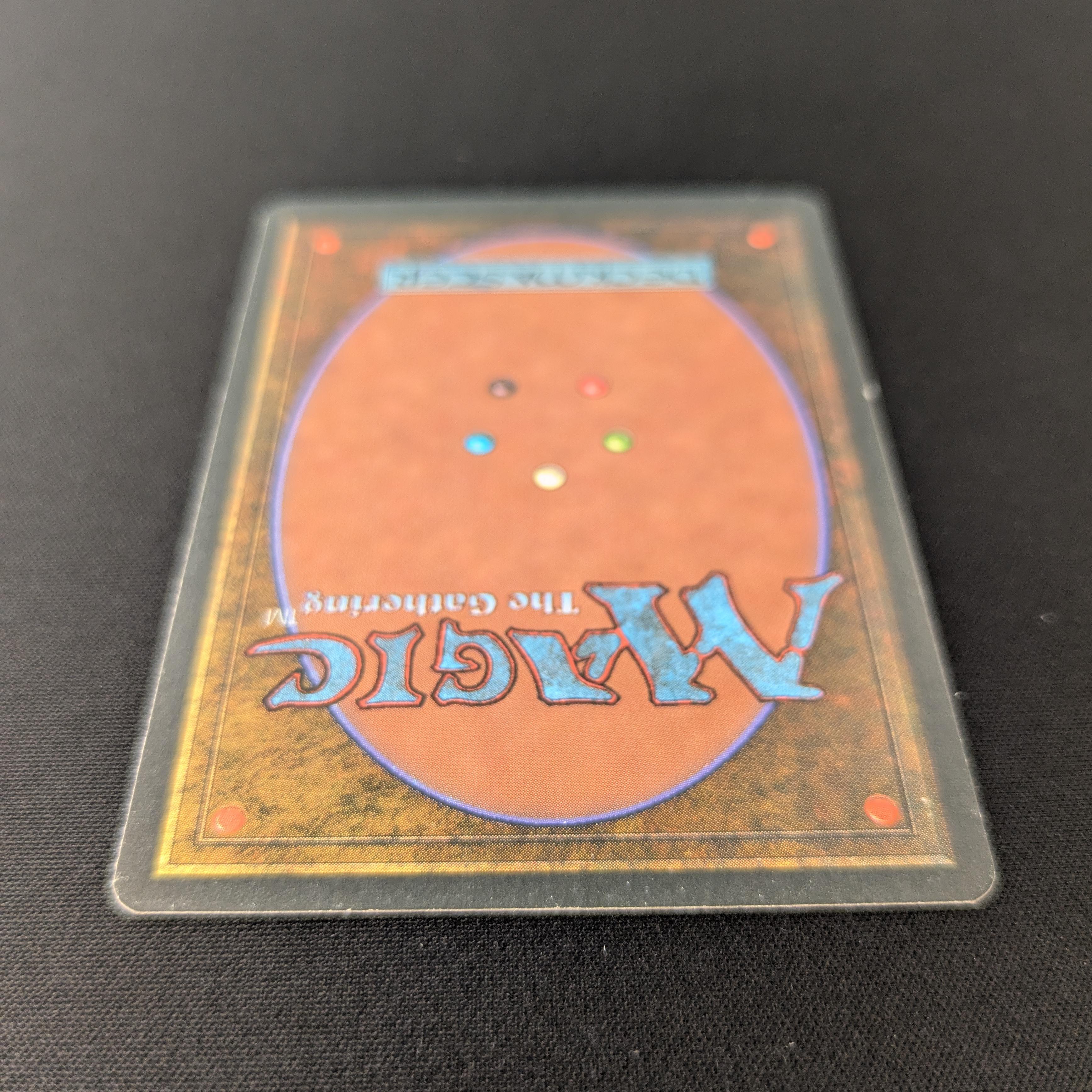 MTG Singles - Savannah - Foreign White Bordered -