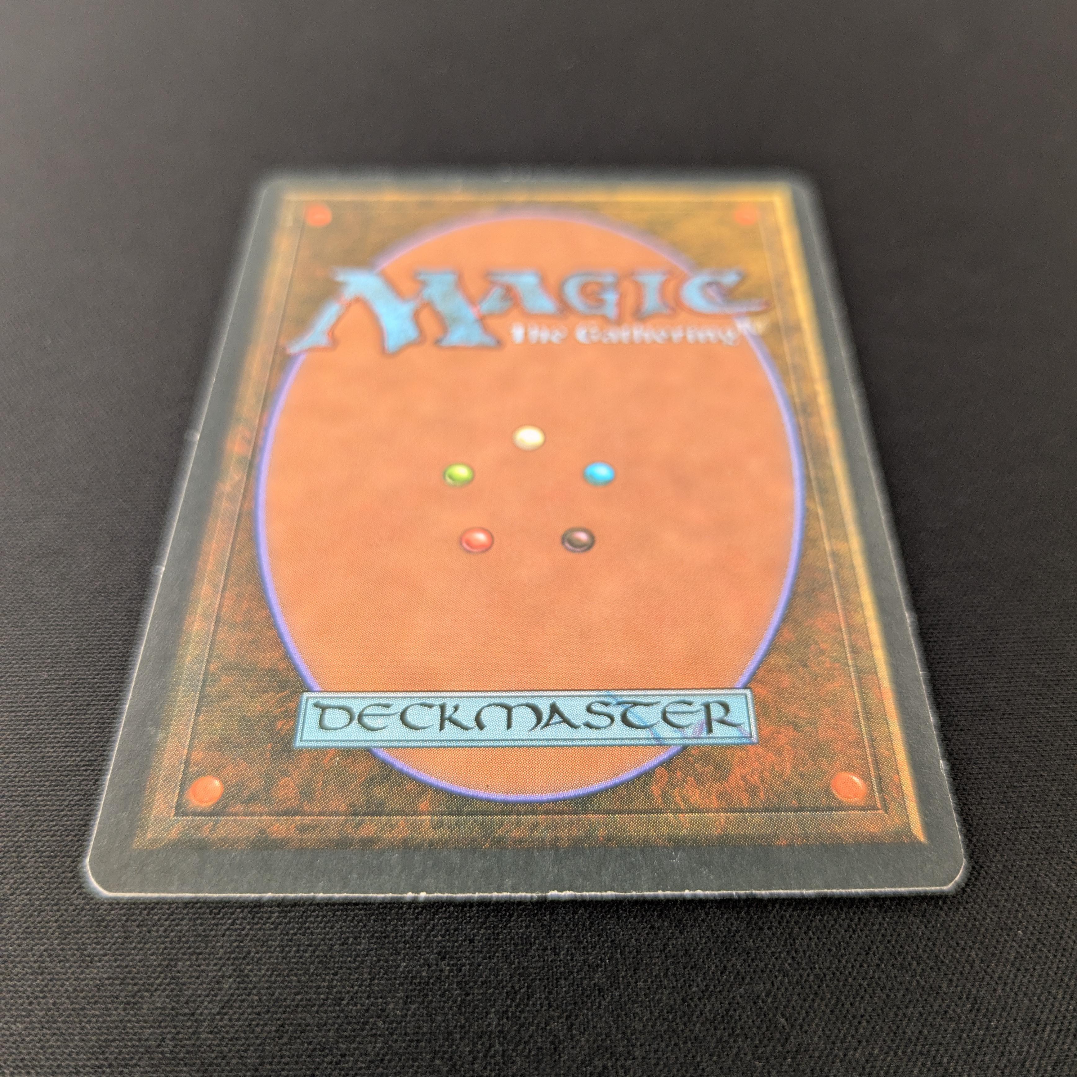 MTG Singles - Taiga - Foreign White Bordered -