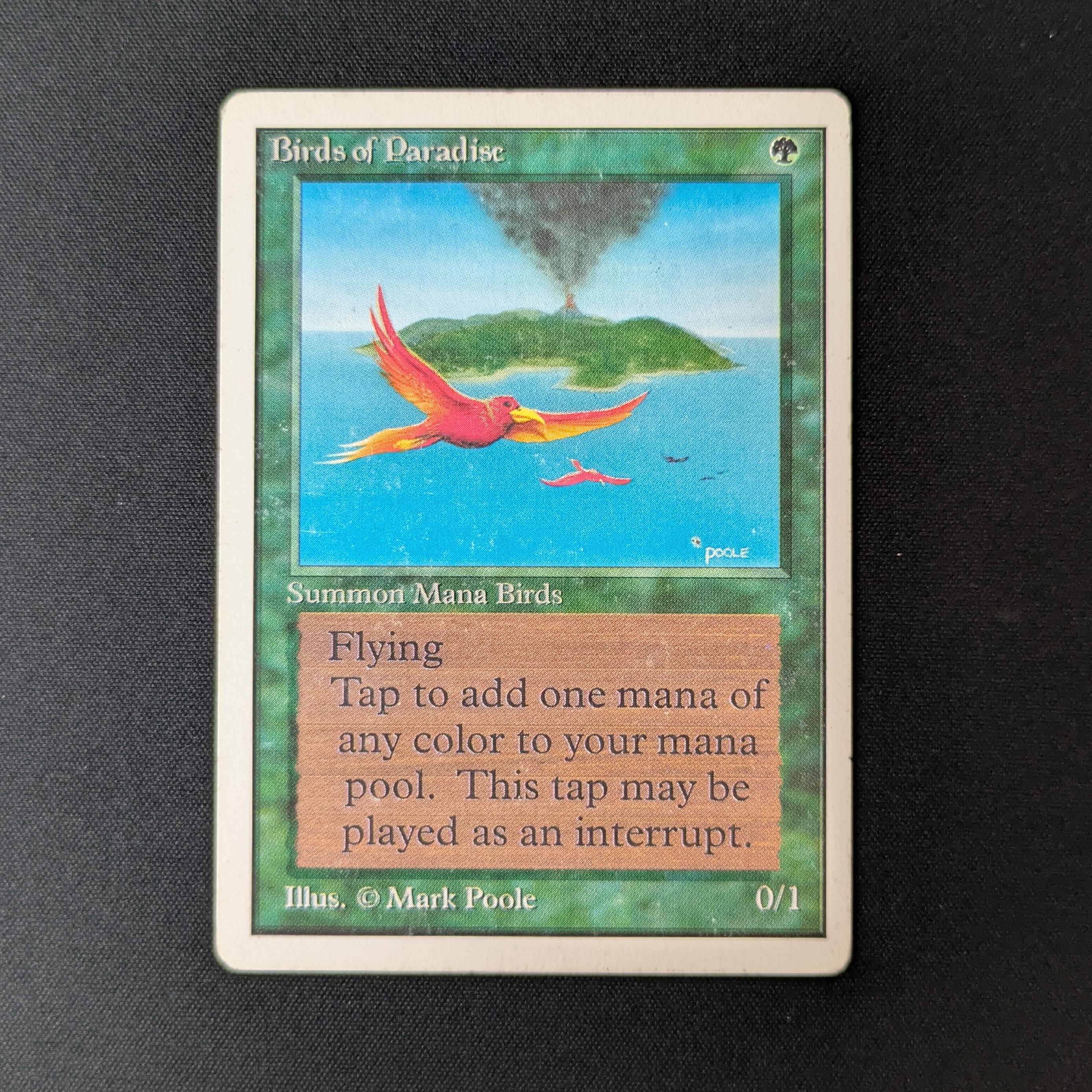MTG Singles - Birds of Paradise - Unlimited - PL - 27795