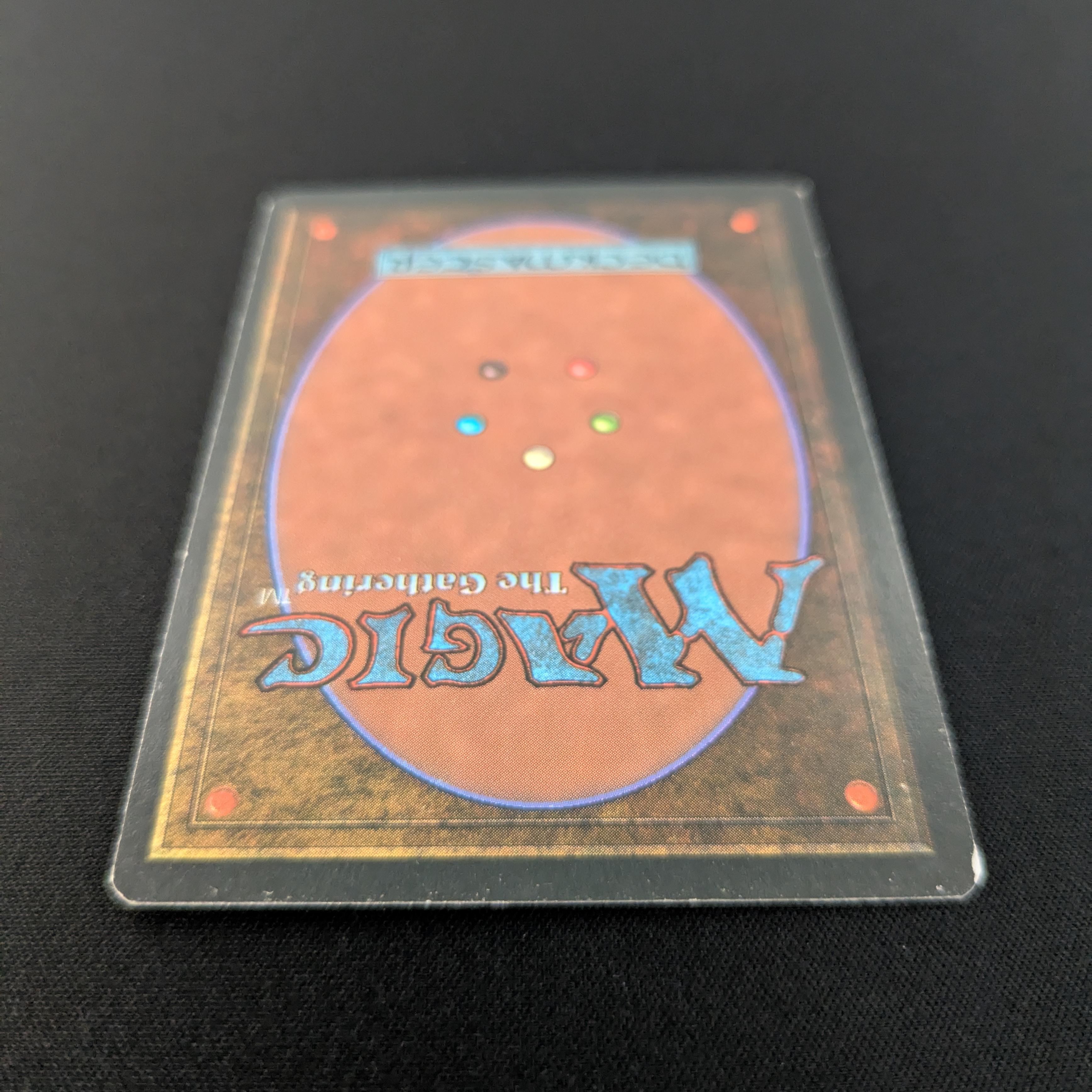 MTG Singles - Bayou - Foreign White Bordered -