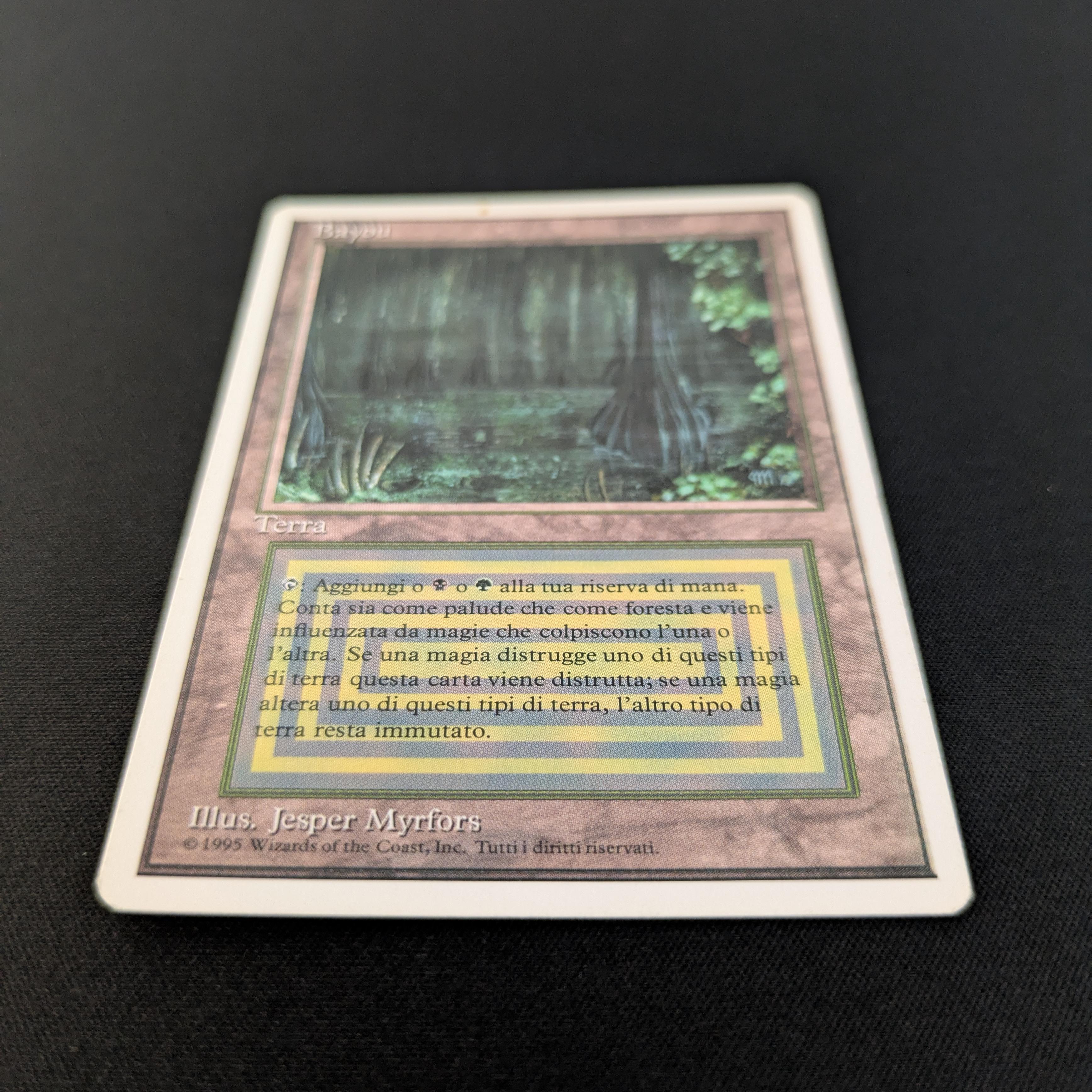 MTG Singles - Bayou - Foreign White Bordered -
