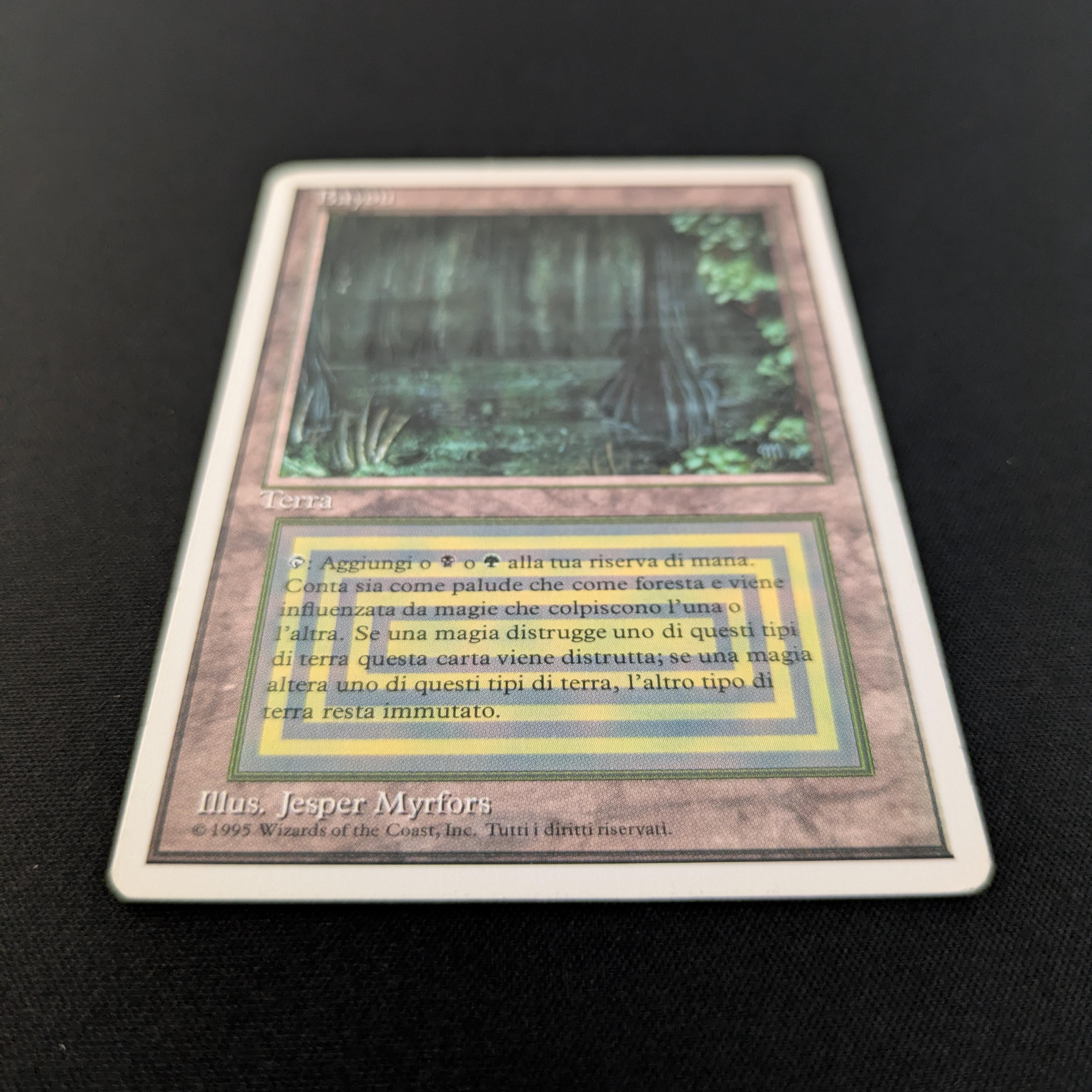 MTG Singles - Bayou - Foreign White Bordered -