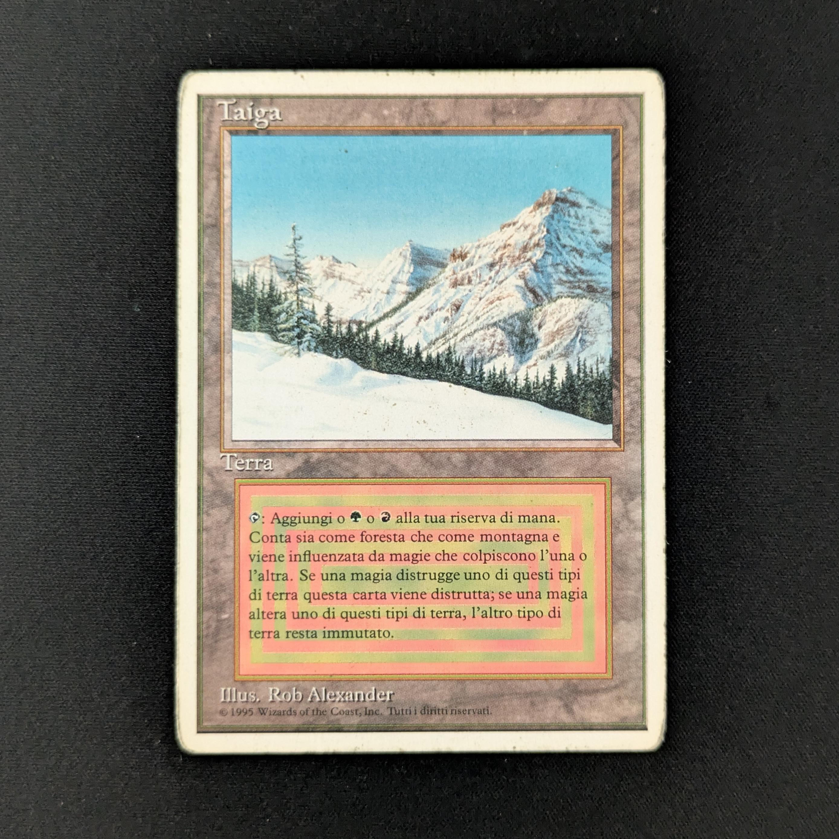 MTG Singles - Taiga - Foreign White Bordered - Italian - PO - 28162