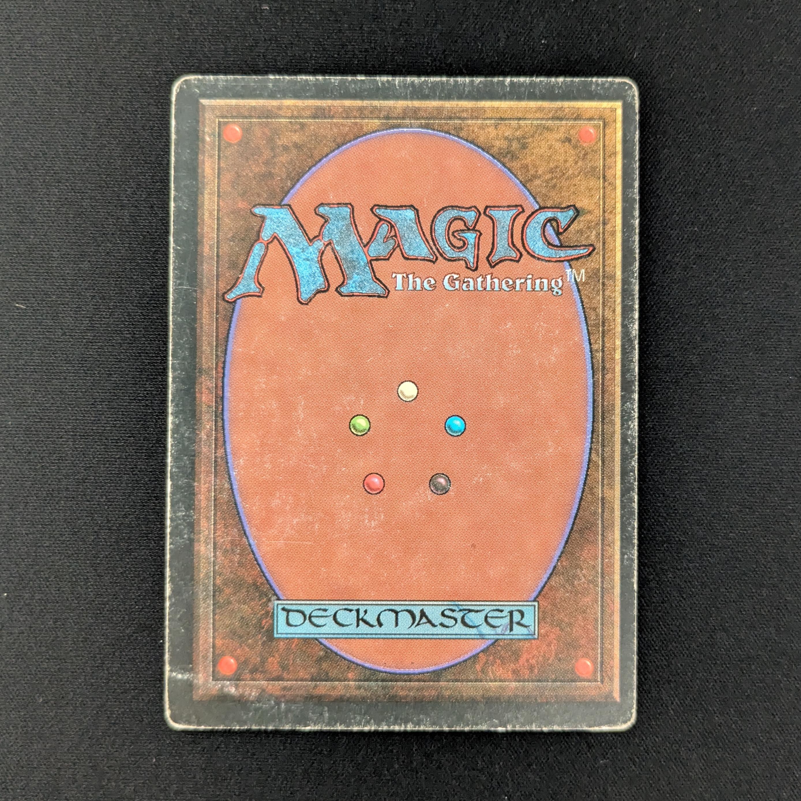 MTG Singles - Savannah - Foreign Black Bordered -