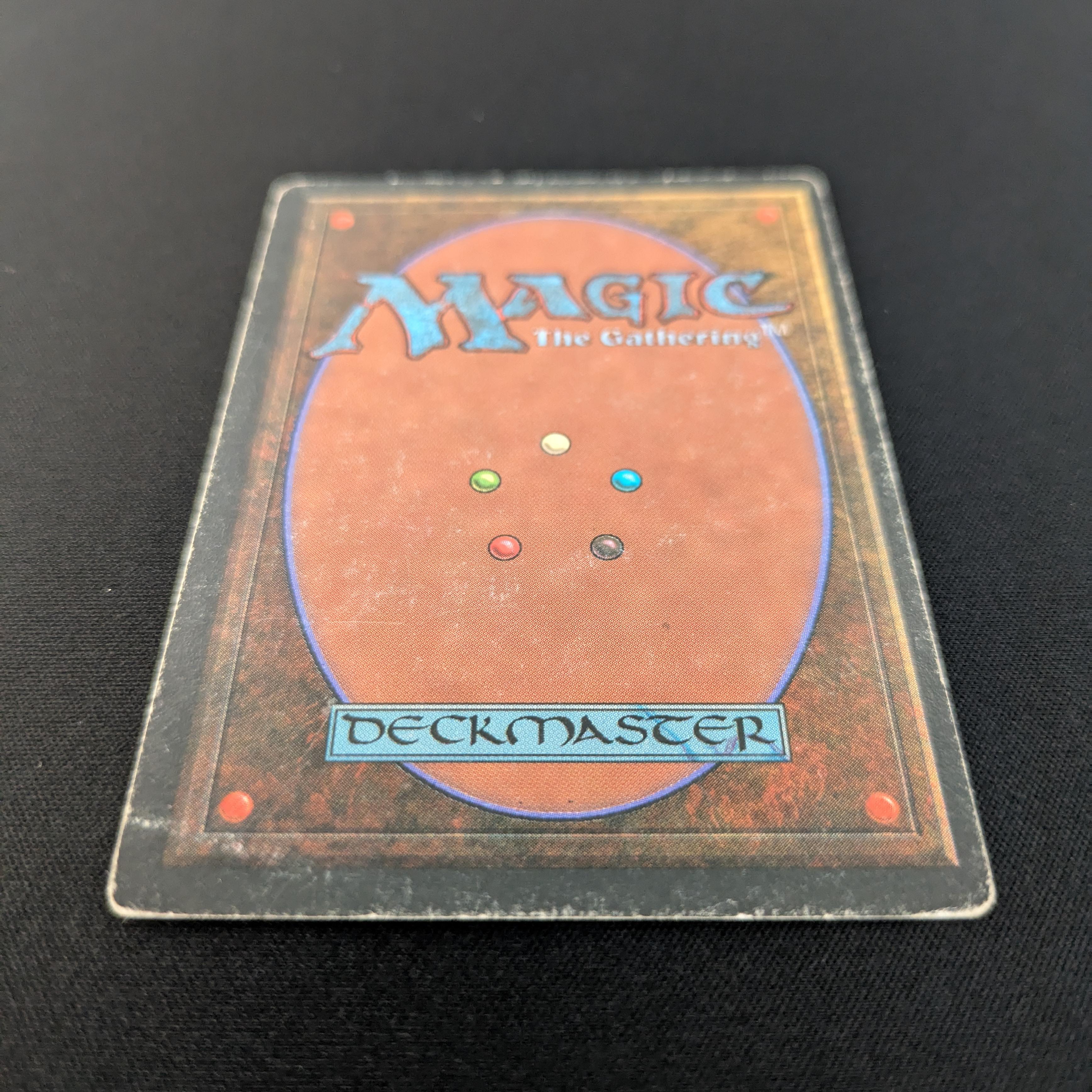 MTG Singles - Savannah - Foreign Black Bordered -