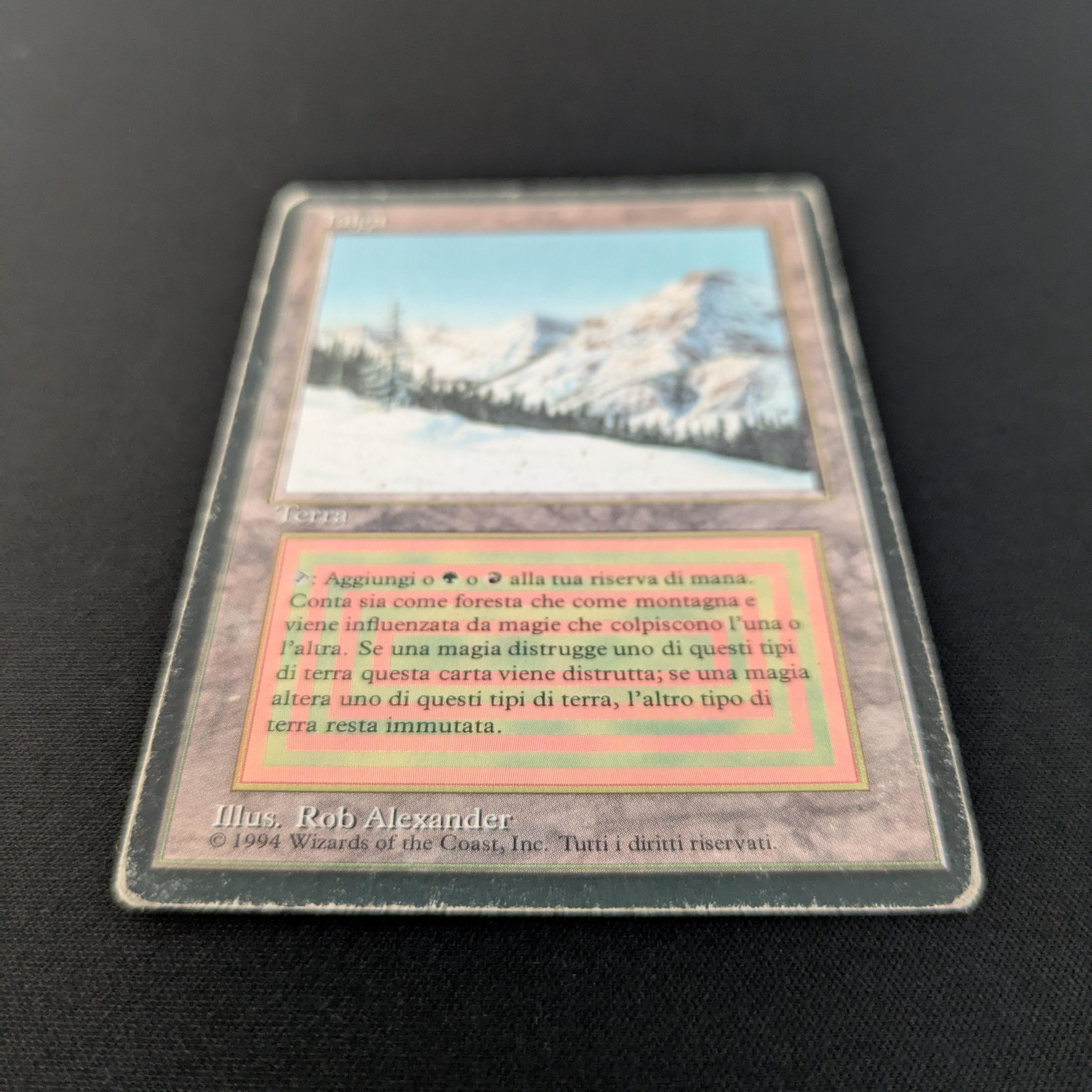 MTG Singles - Taiga - Foreign Black Bordered -