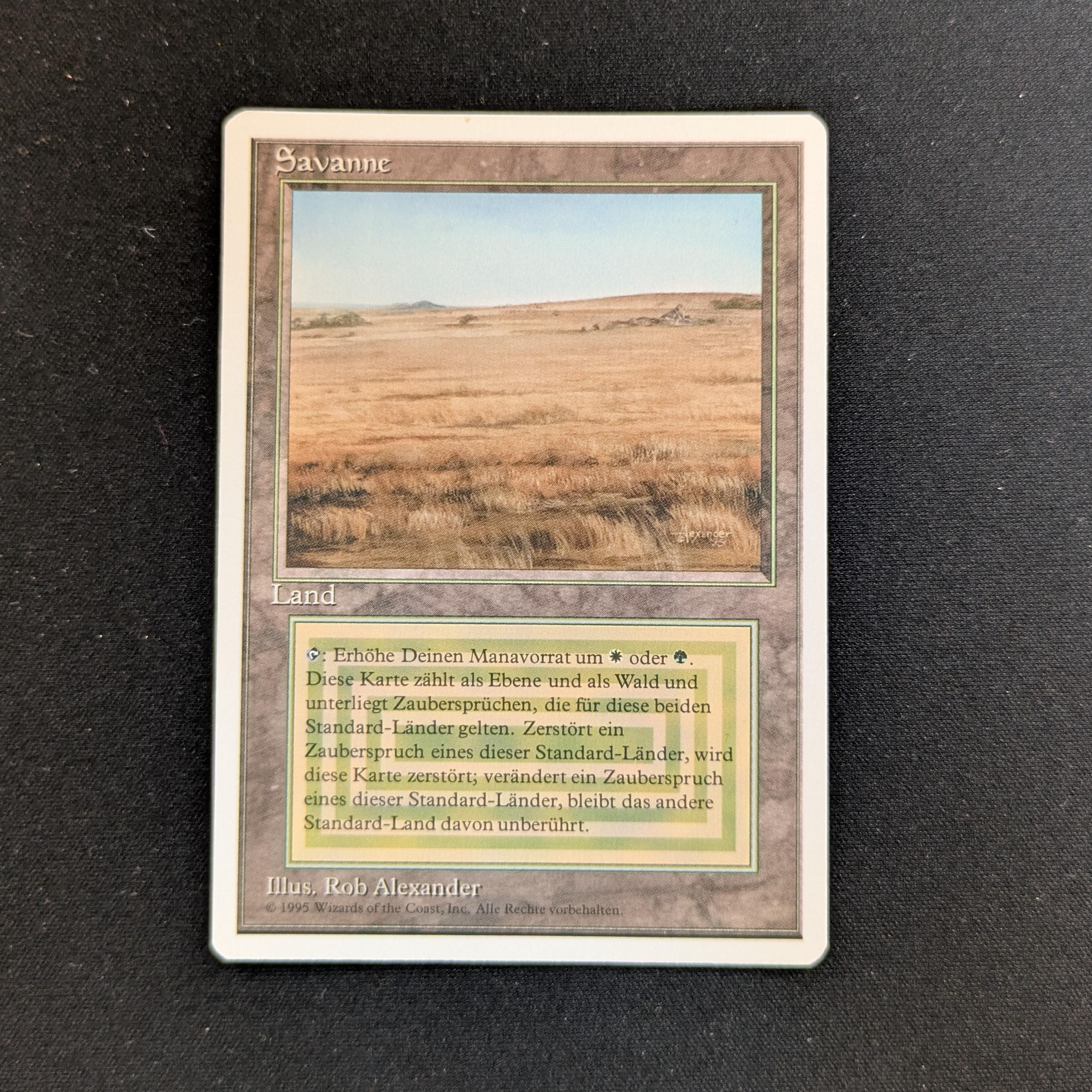 MTG Singles - Savannah - Foreign White Bordered - German - NM - 28317