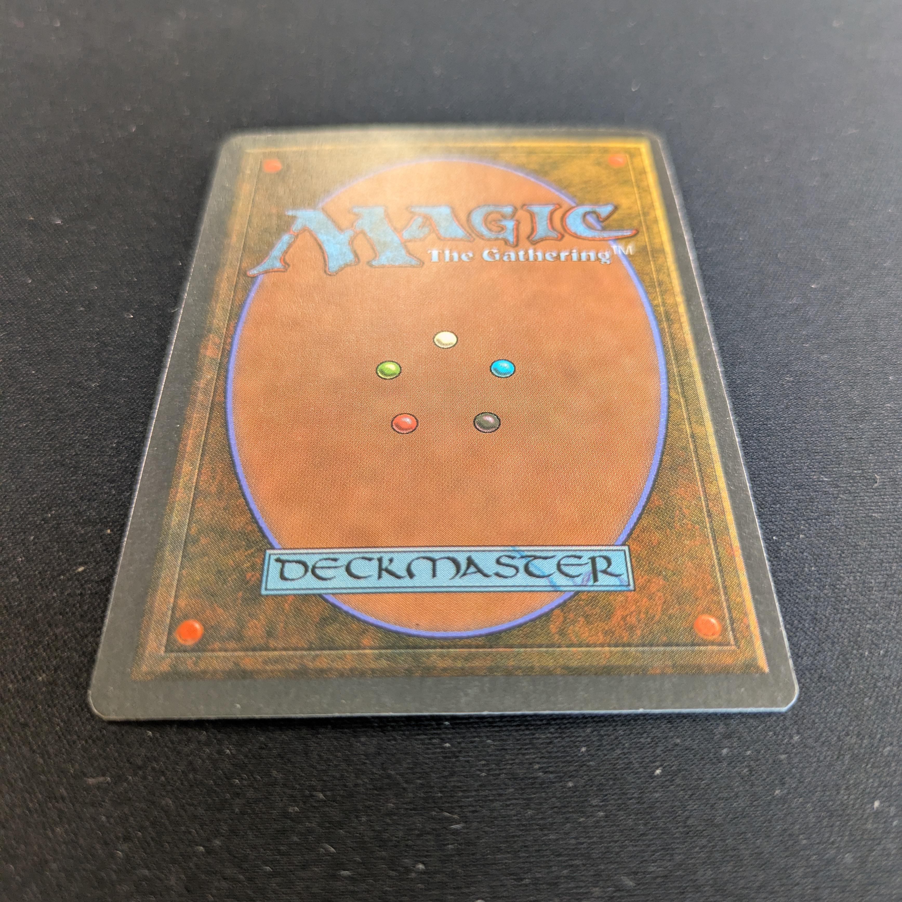MTG Singles - Savannah - Foreign White Bordered -
