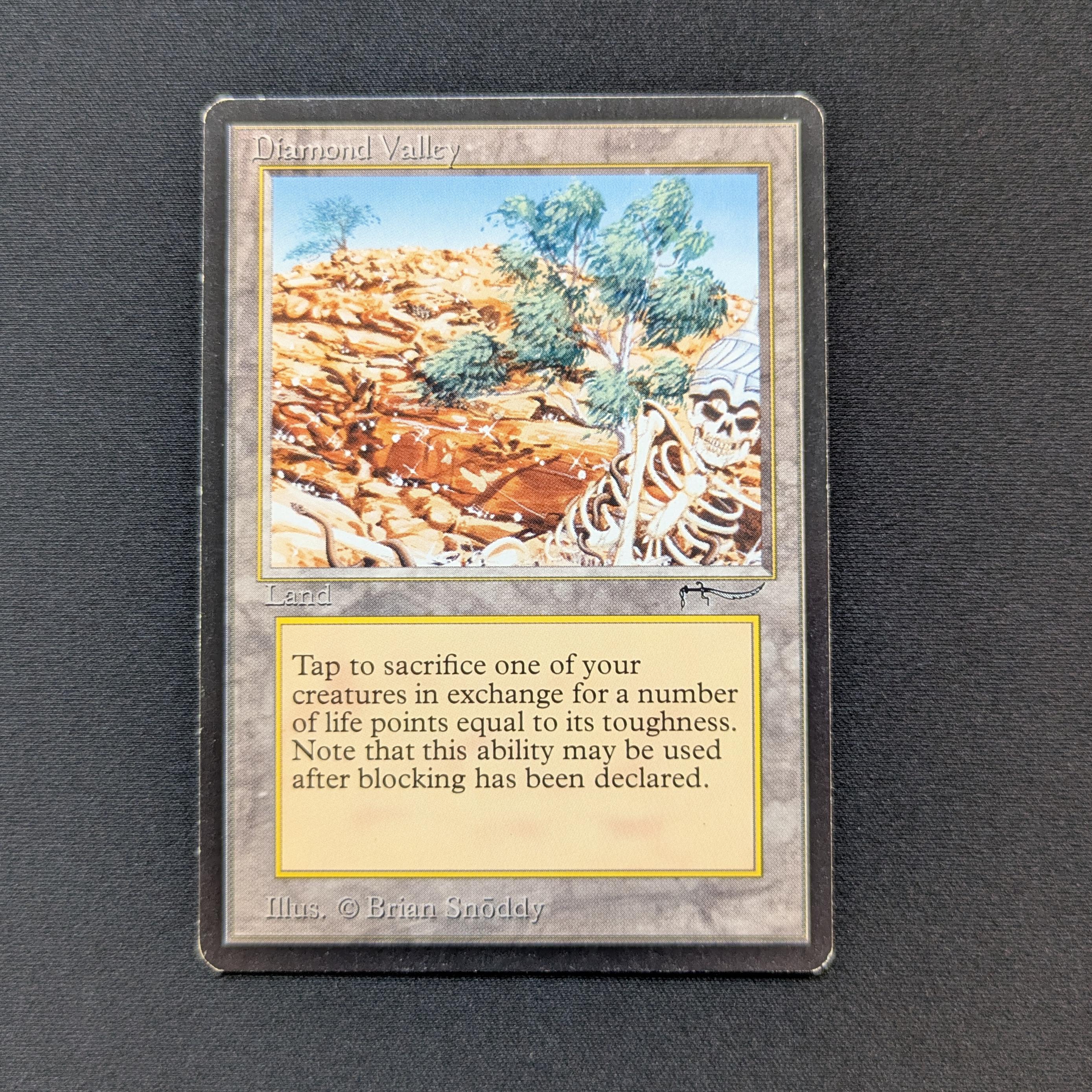 MTG Singles - Diamond Valley - Arabian Nights - GD - 28527