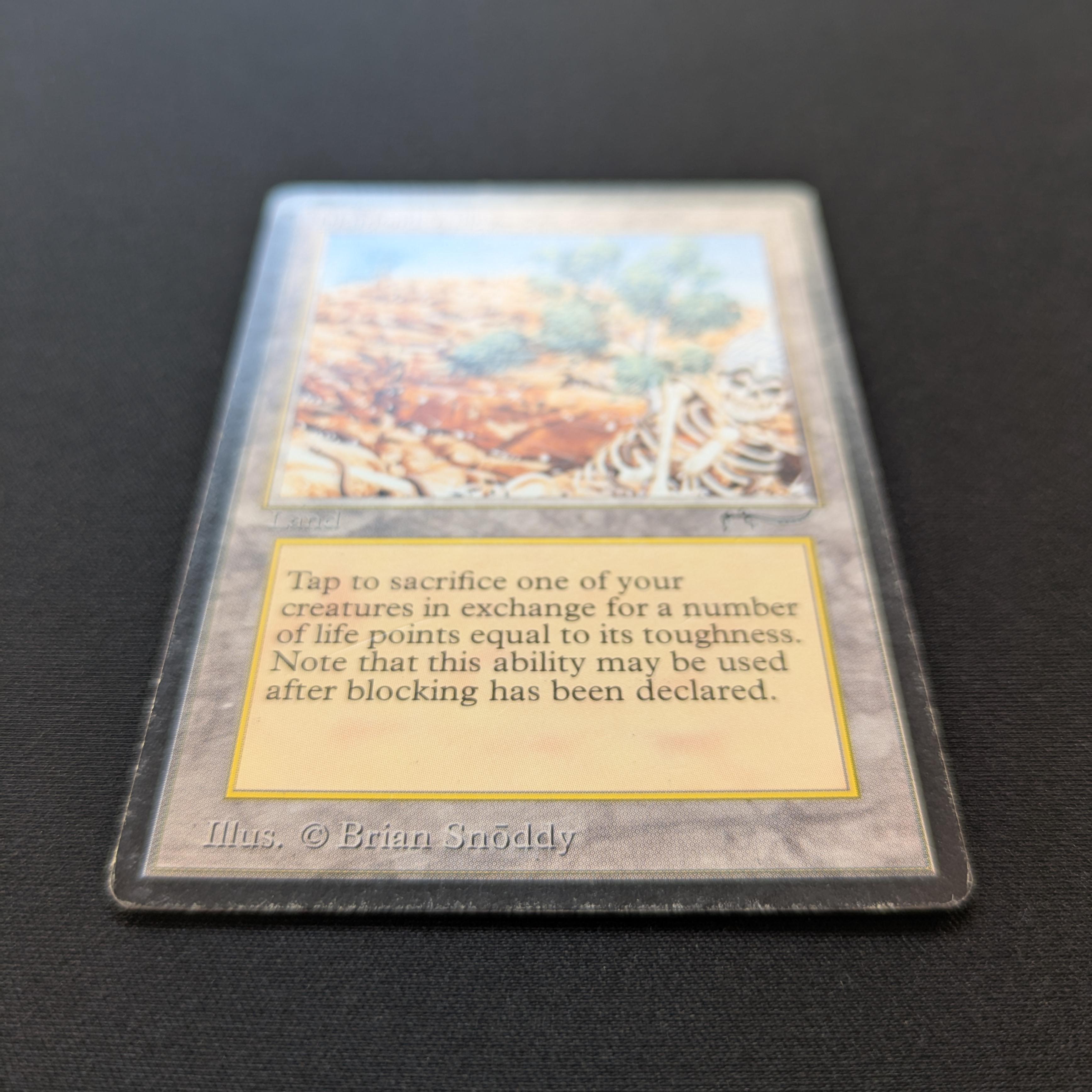 MTG Singles - Diamond Valley - Arabian Nights -