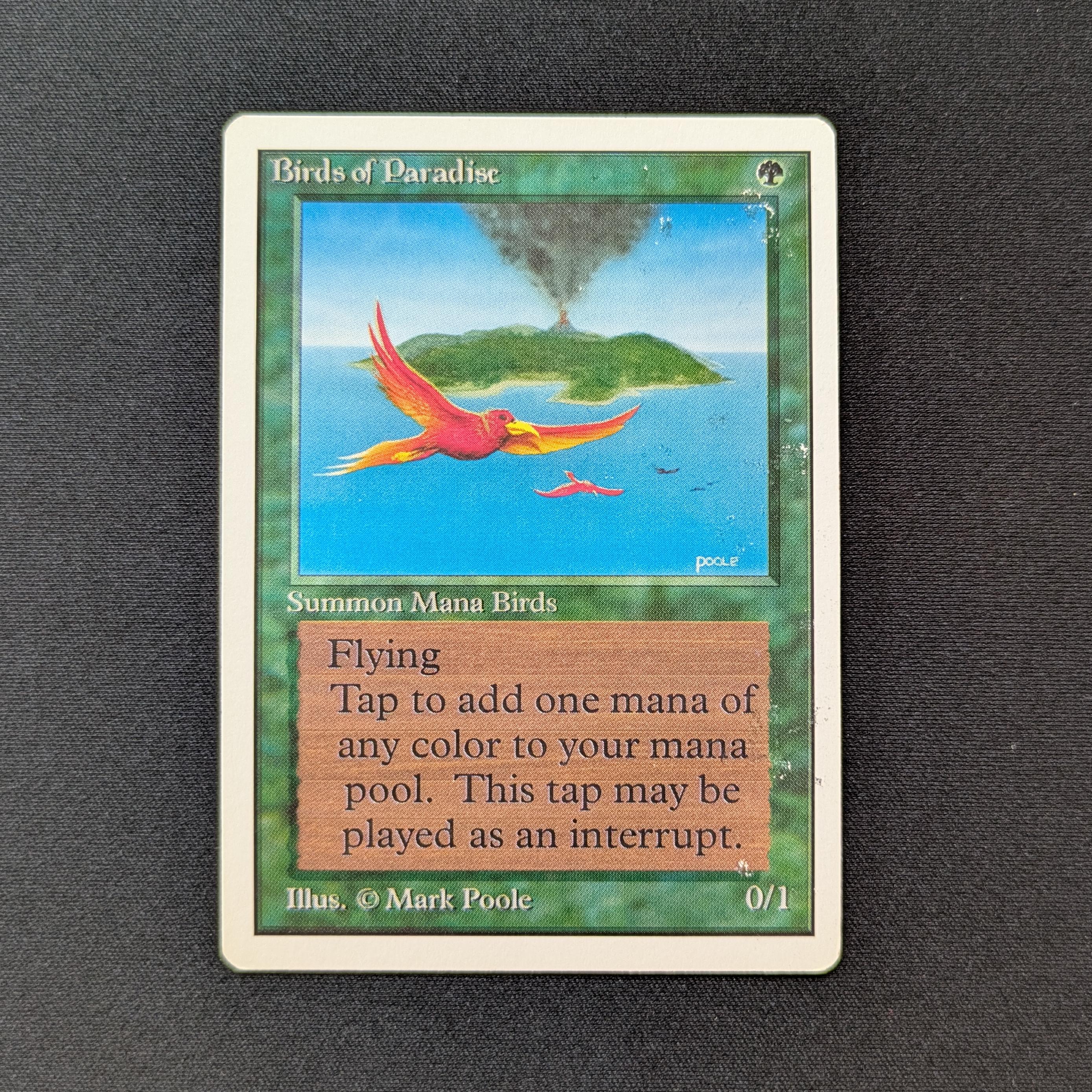 MTG Singles - Birds of Paradise - Unlimited - LP - 28553