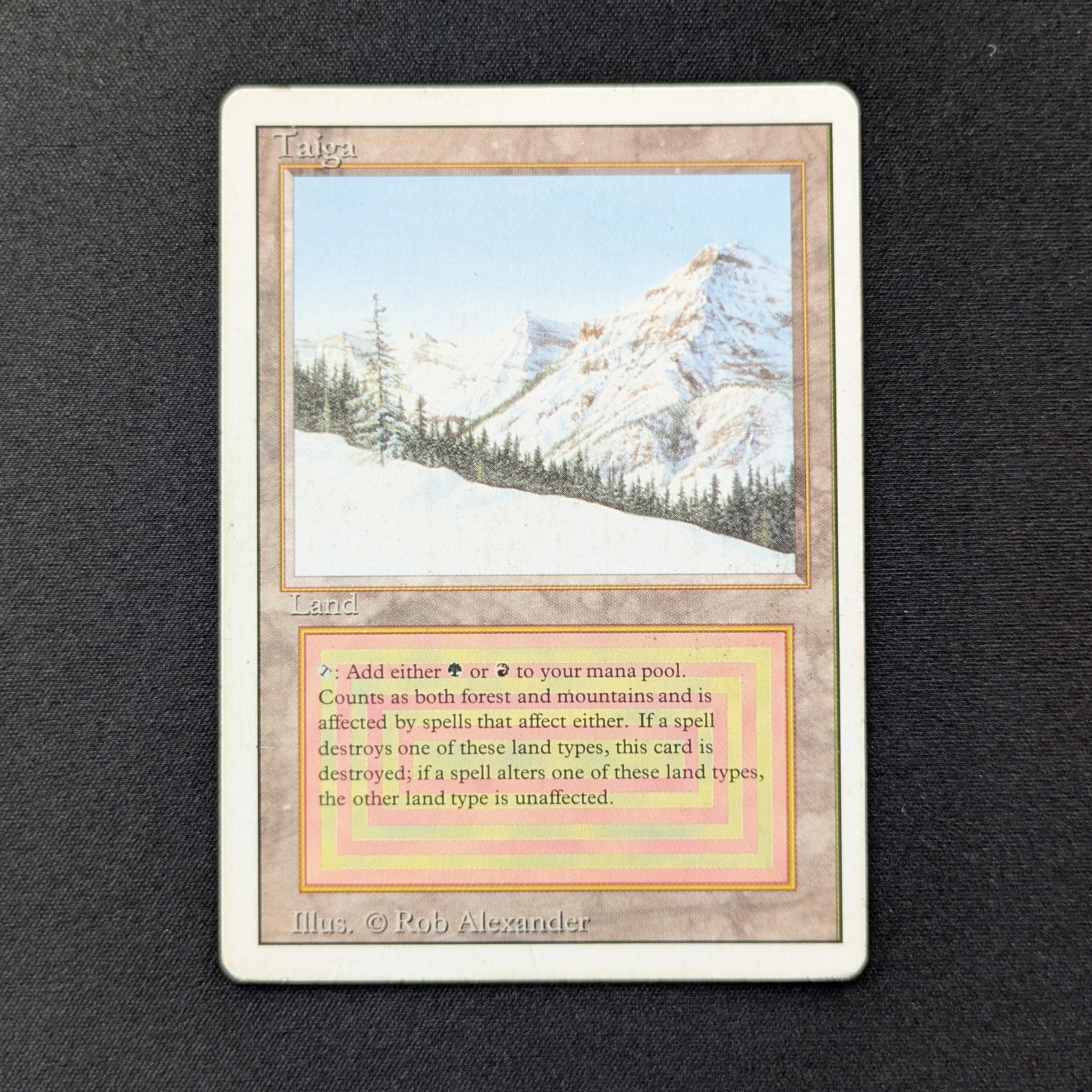 MTG Singles - Taiga - Revised - PL - 28590
