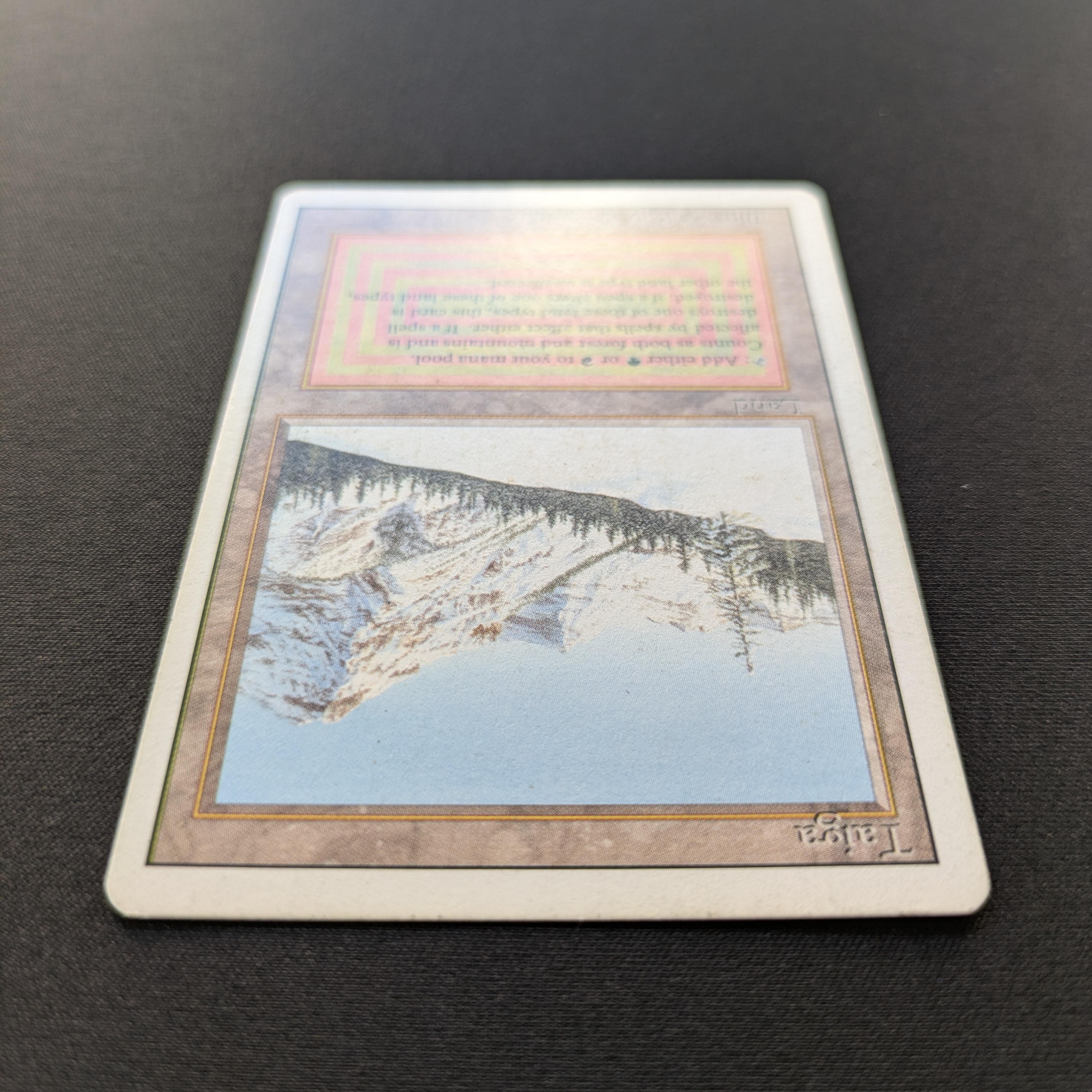 MTG Singles - Taiga - Revised -