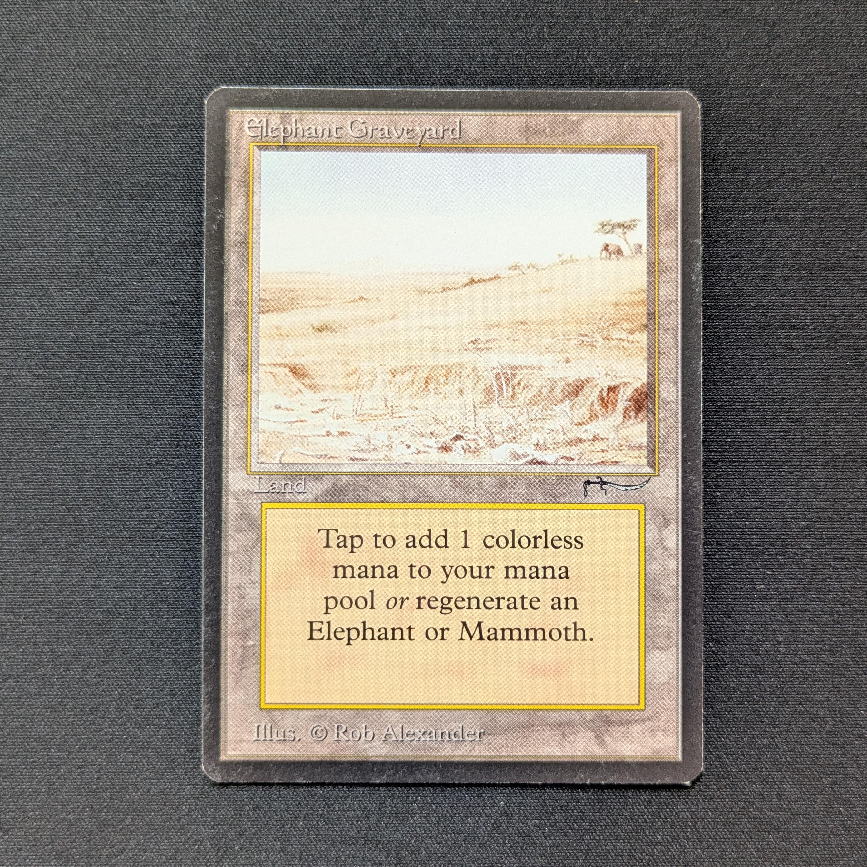 MTG Singles - Elephant Graveyard - Arabian Nights - EX - 28601