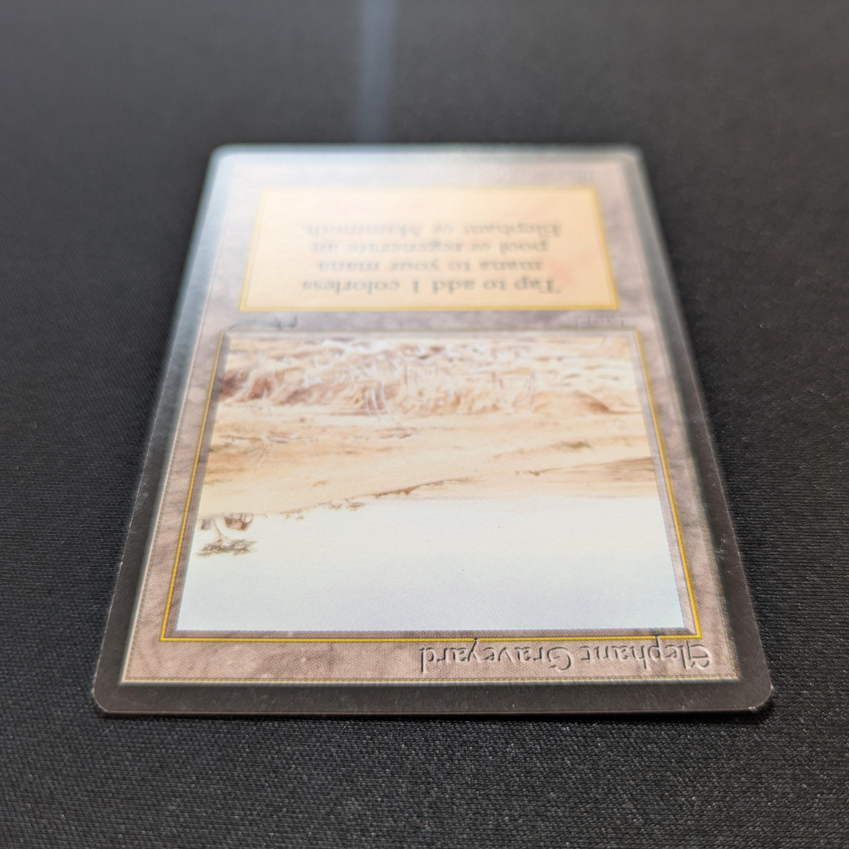 MTG Singles - Elephant Graveyard - Arabian Nights -