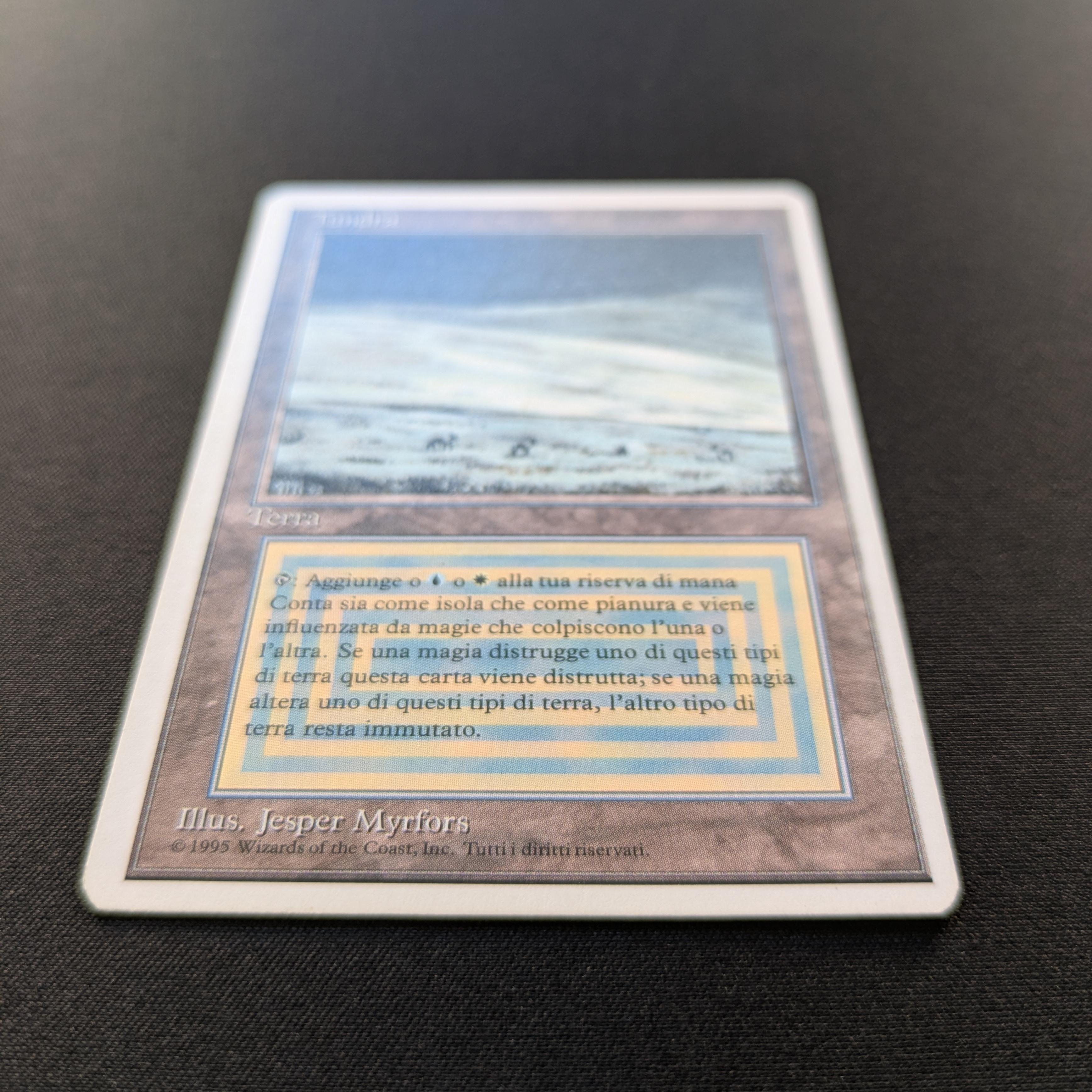 MTG Singles - Tundra - Foreign White Bordered -
