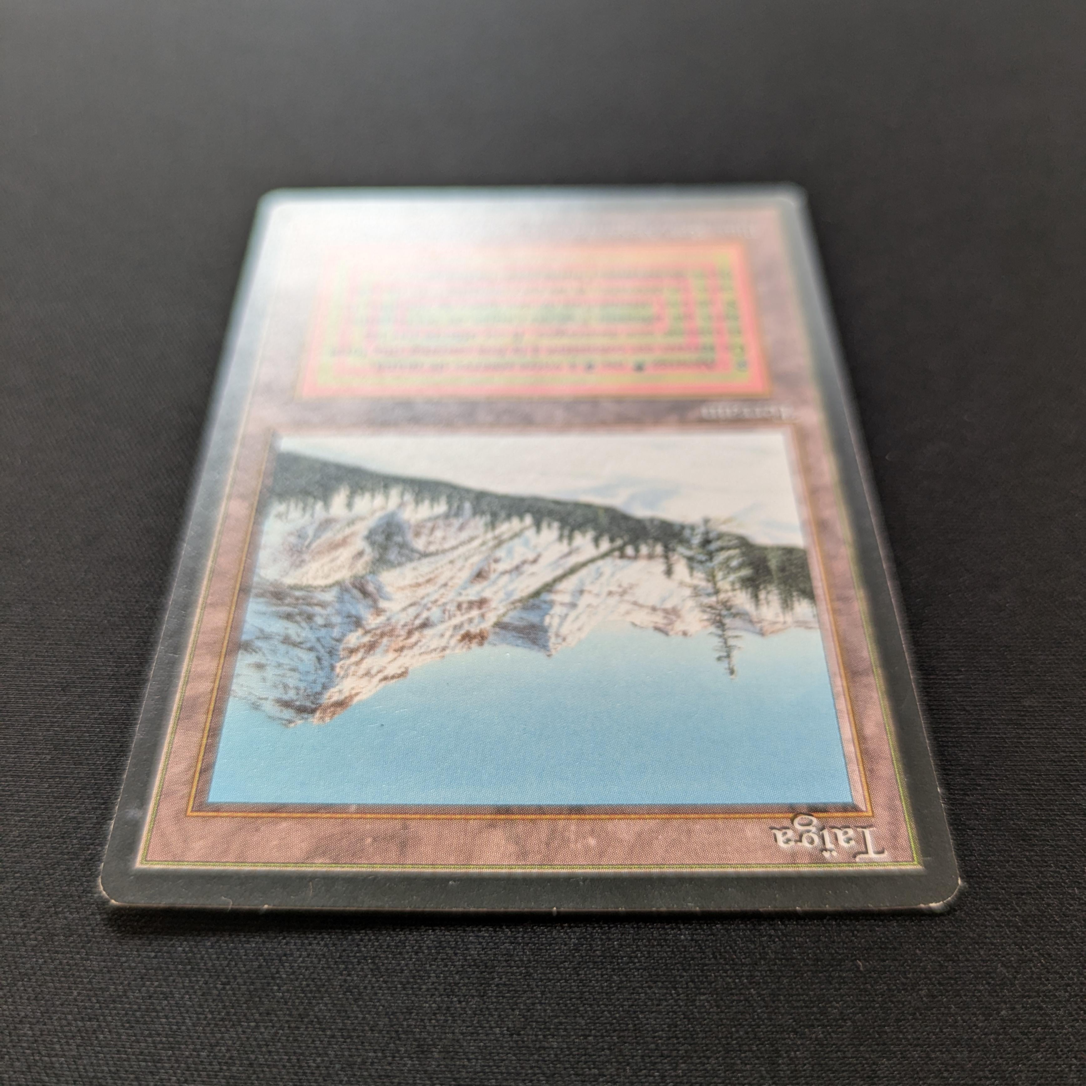 MTG Singles - Taiga - Foreign Black Bordered -