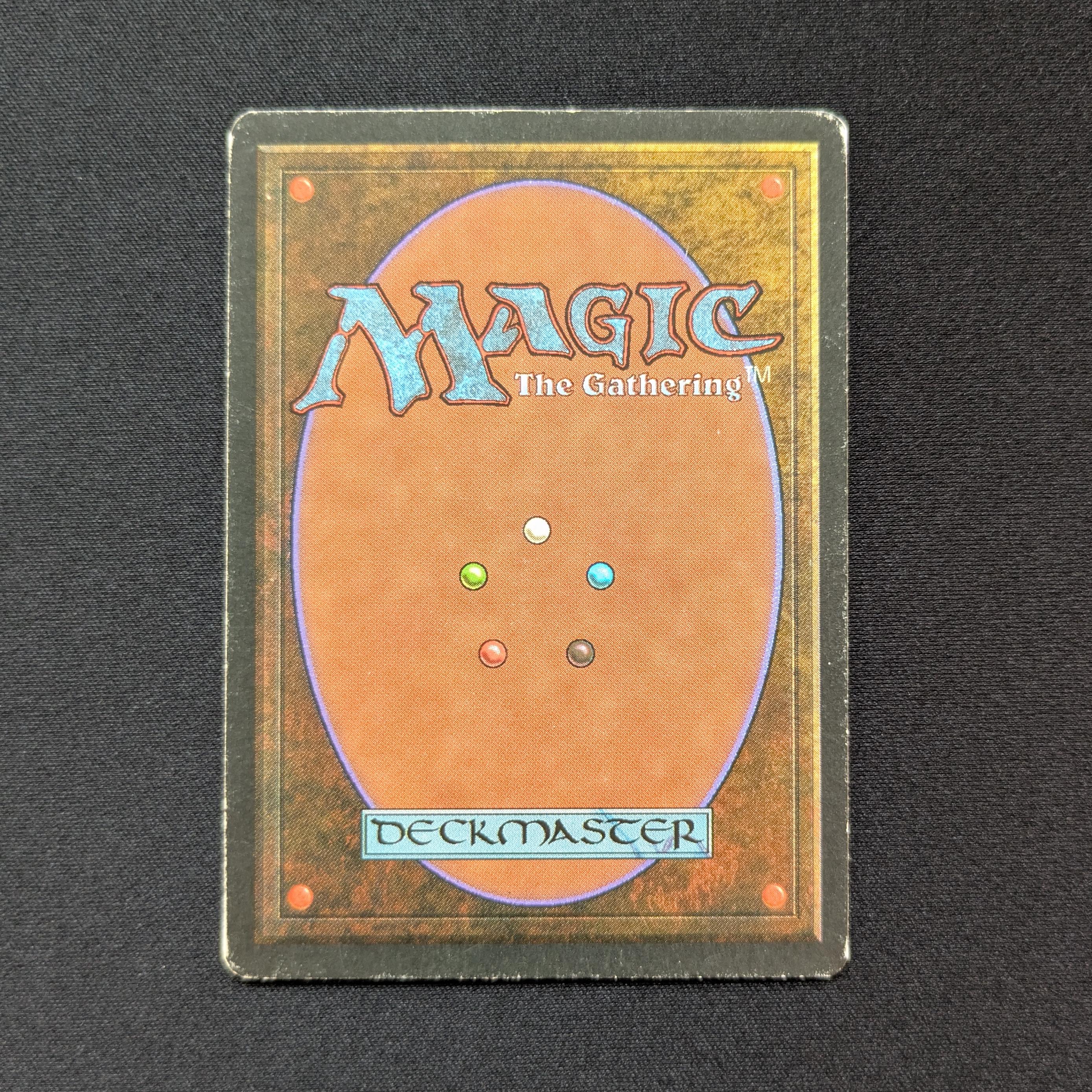 MTG Singles - Savannah - Foreign Black Bordered -