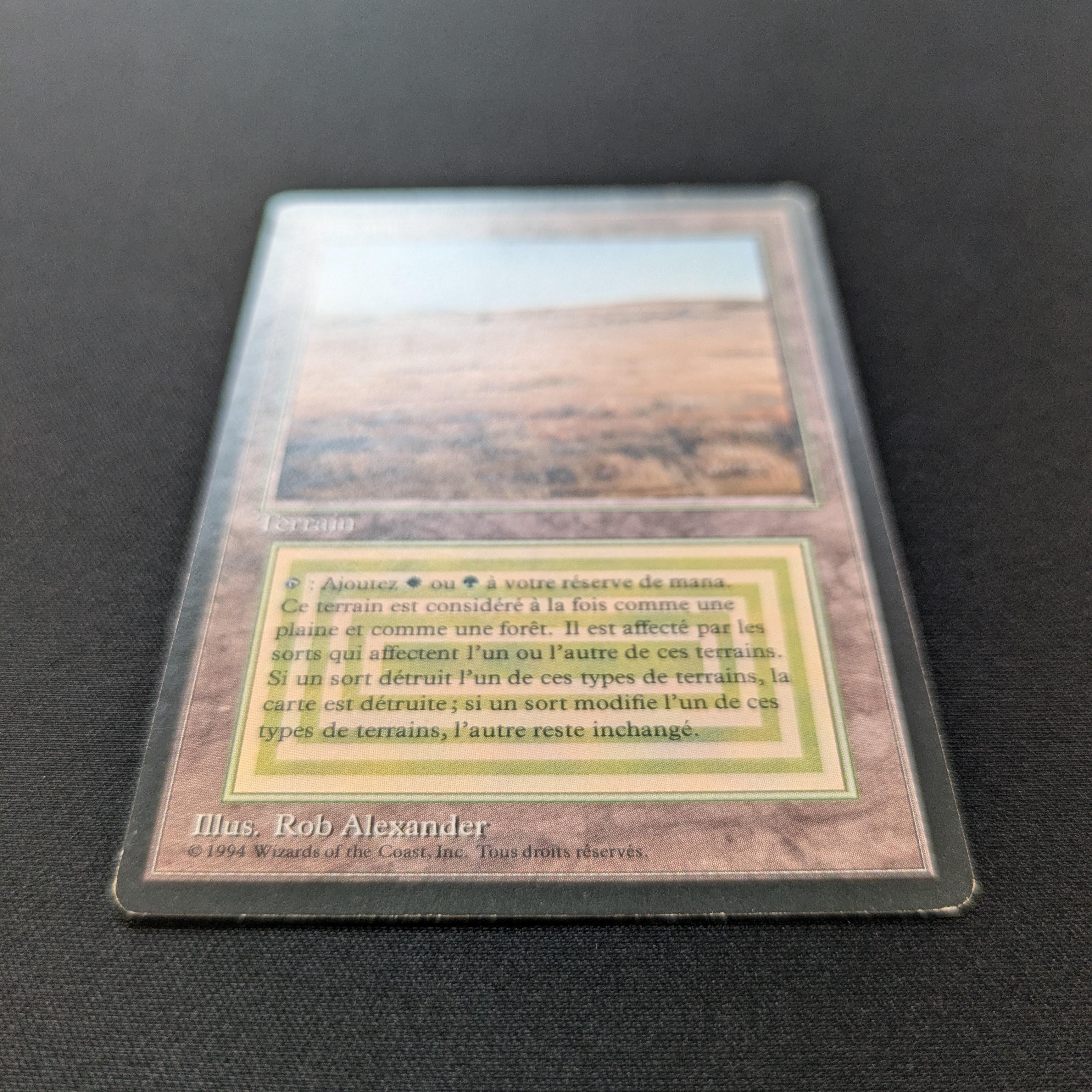 MTG Singles - Savannah - Foreign Black Bordered -