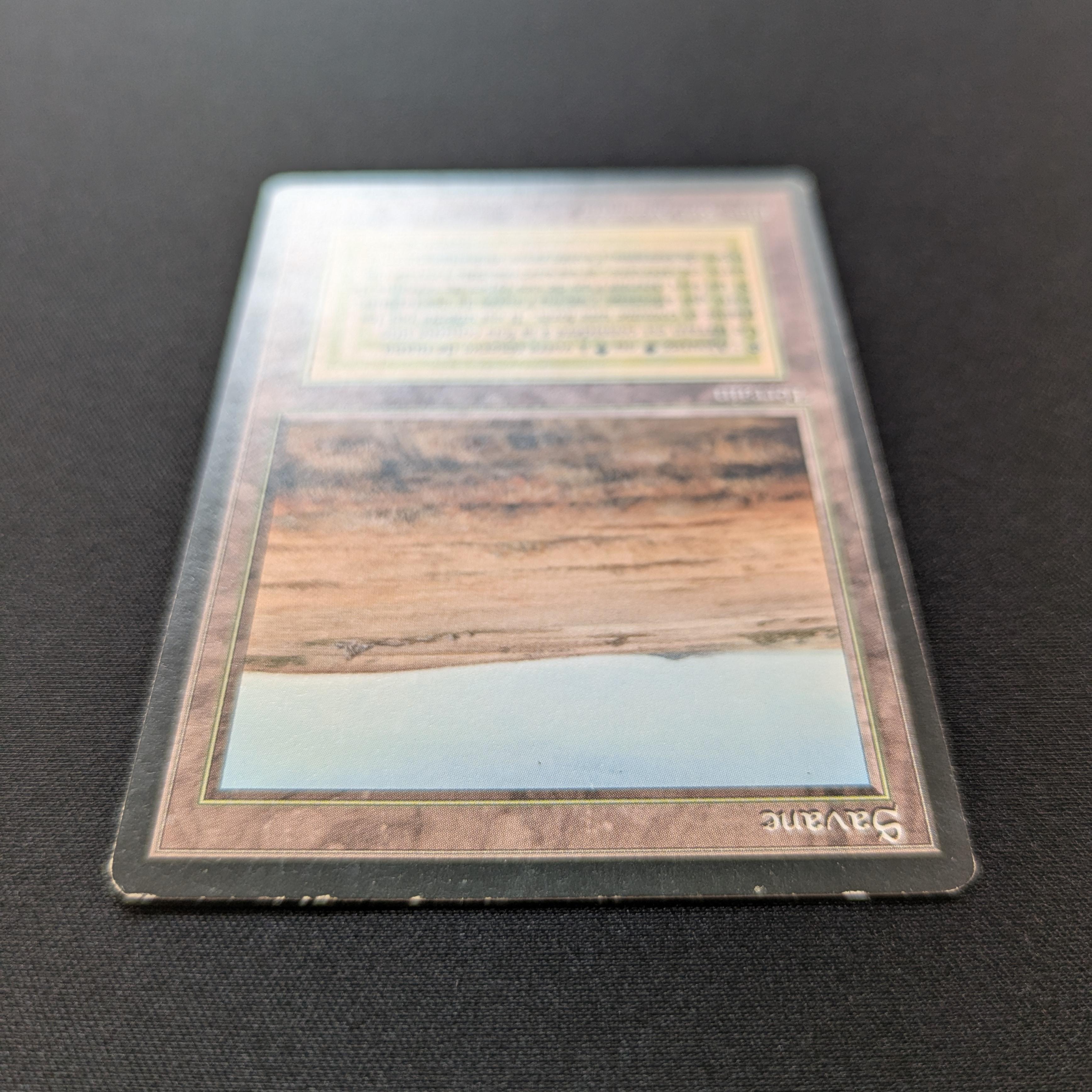 MTG Singles - Savannah - Foreign Black Bordered -