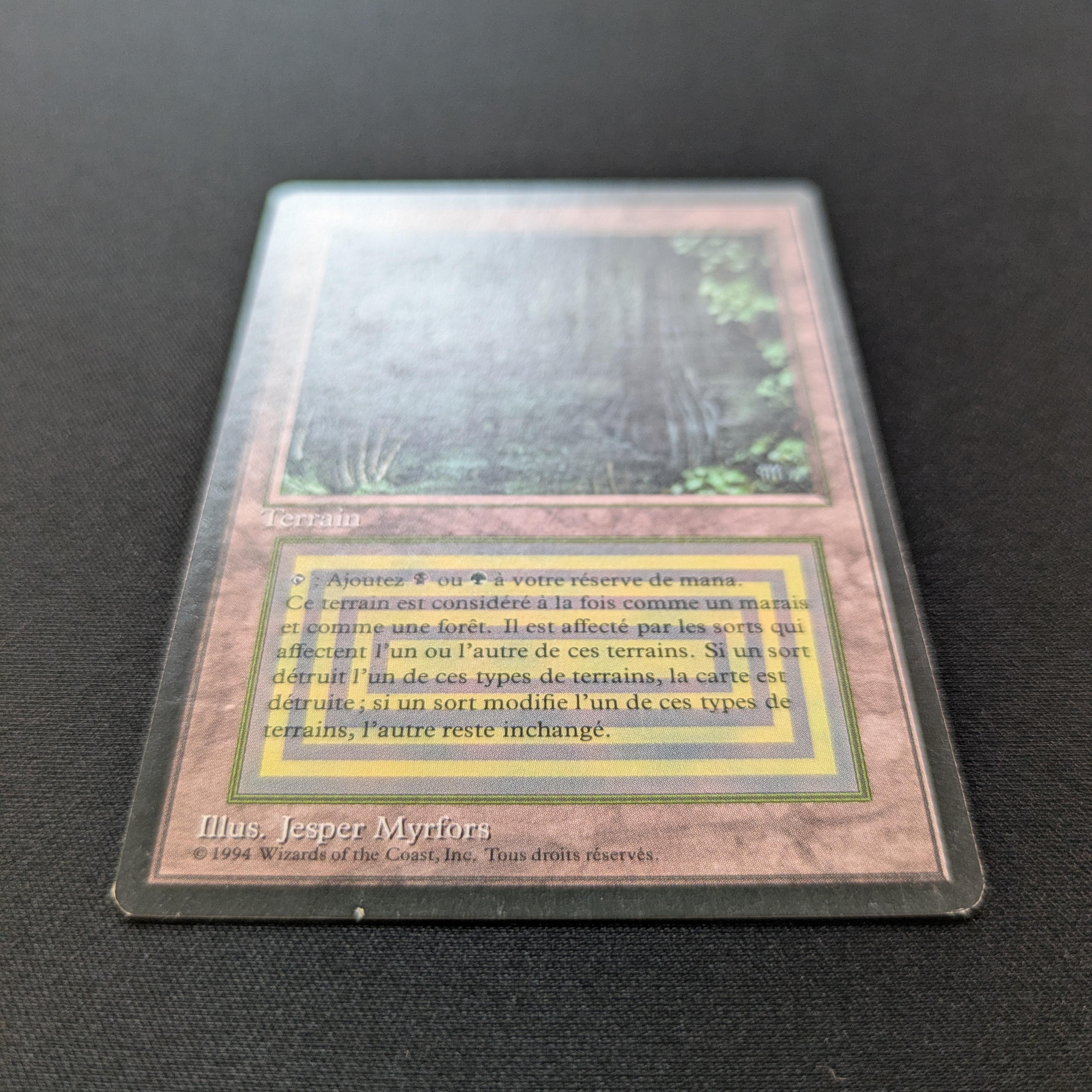 MTG Singles - Bayou - Foreign Black Bordered -